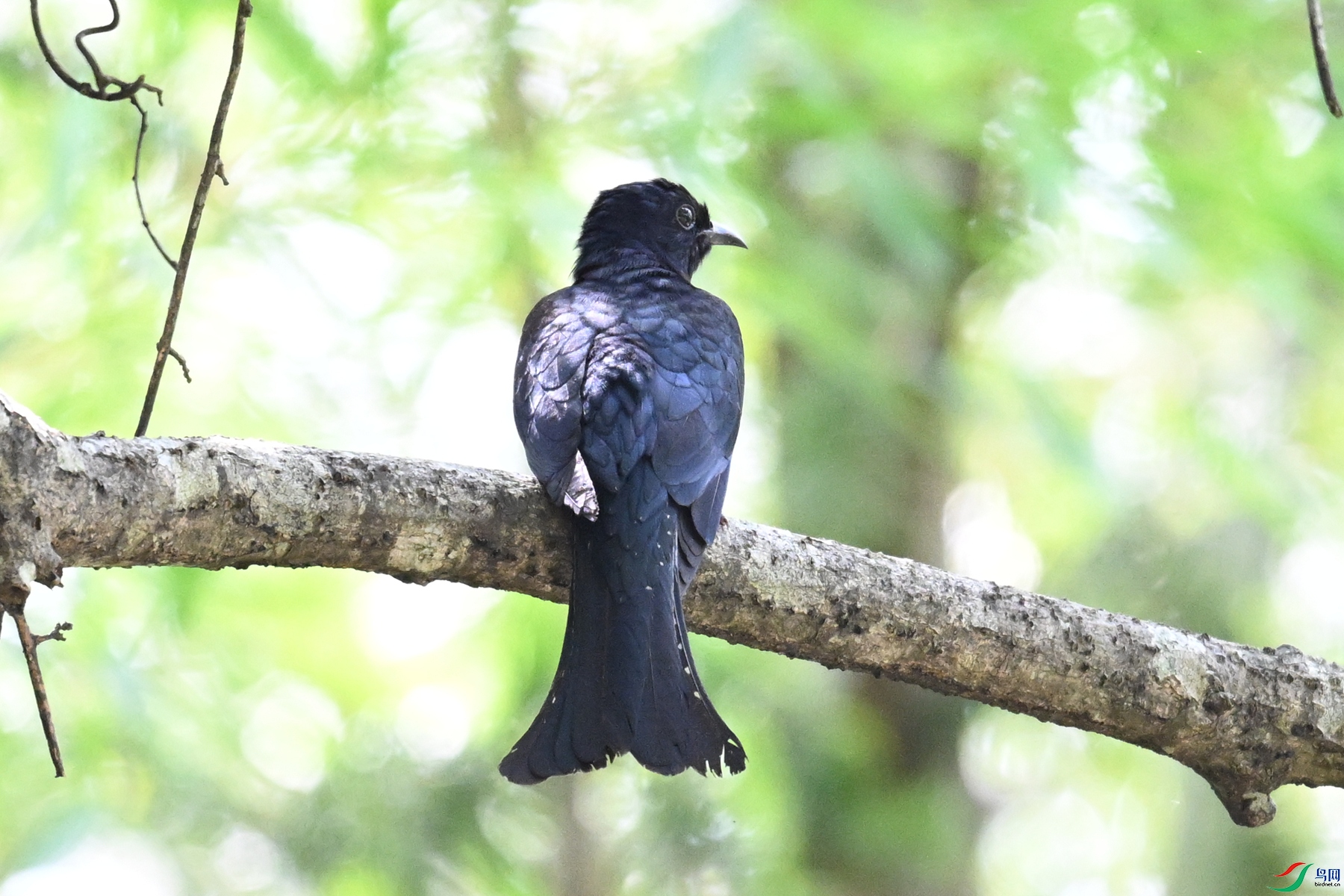 DSC_0701.JPG