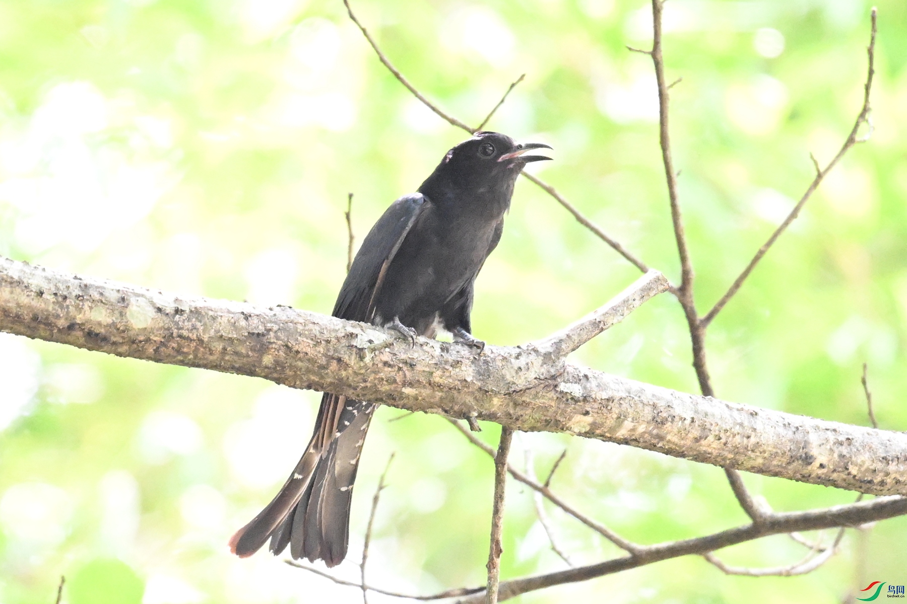 DSC_0714.JPG