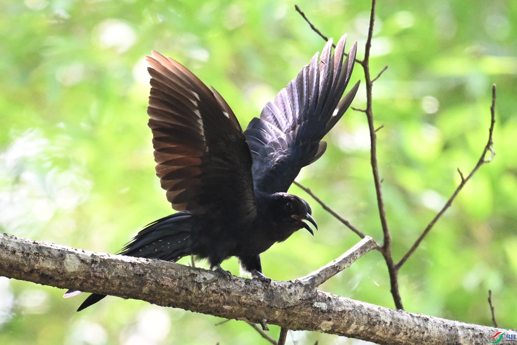 DSC_0719.JPG