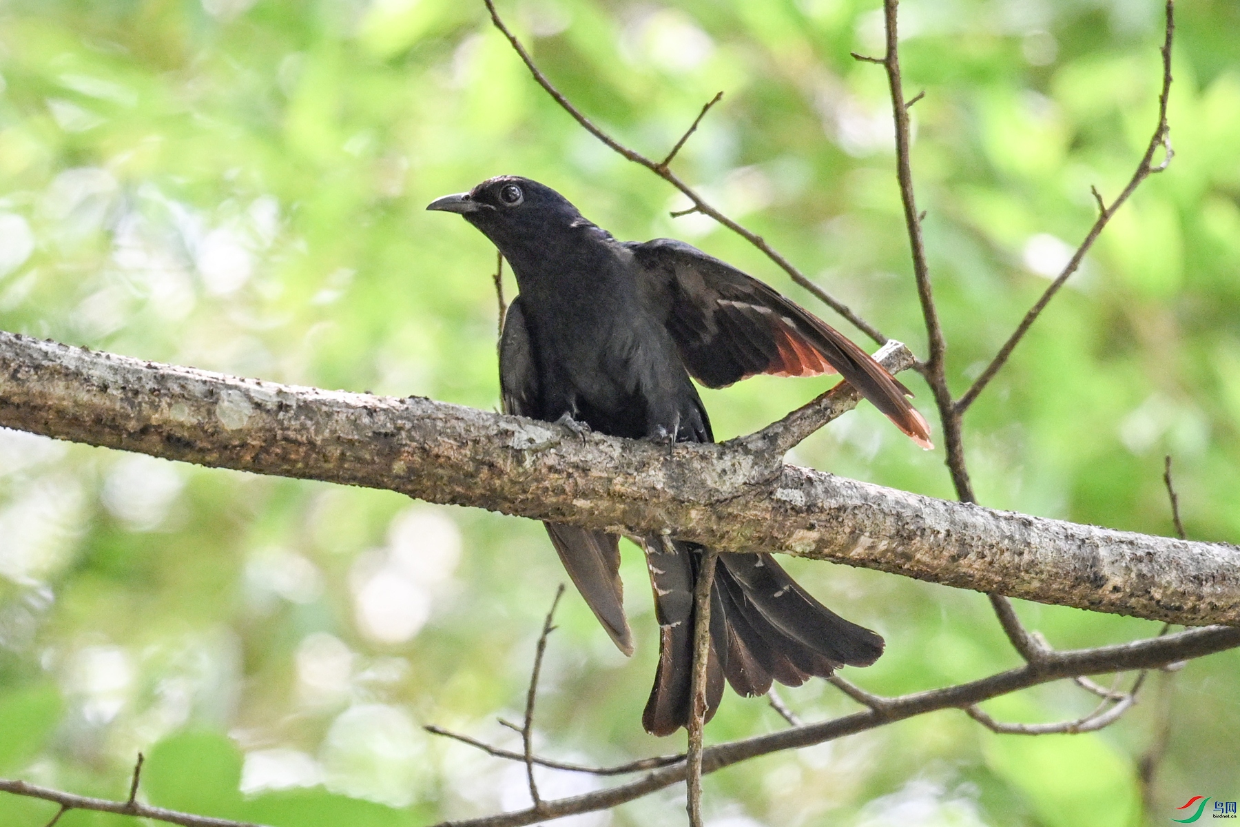 DSC_0709.JPG