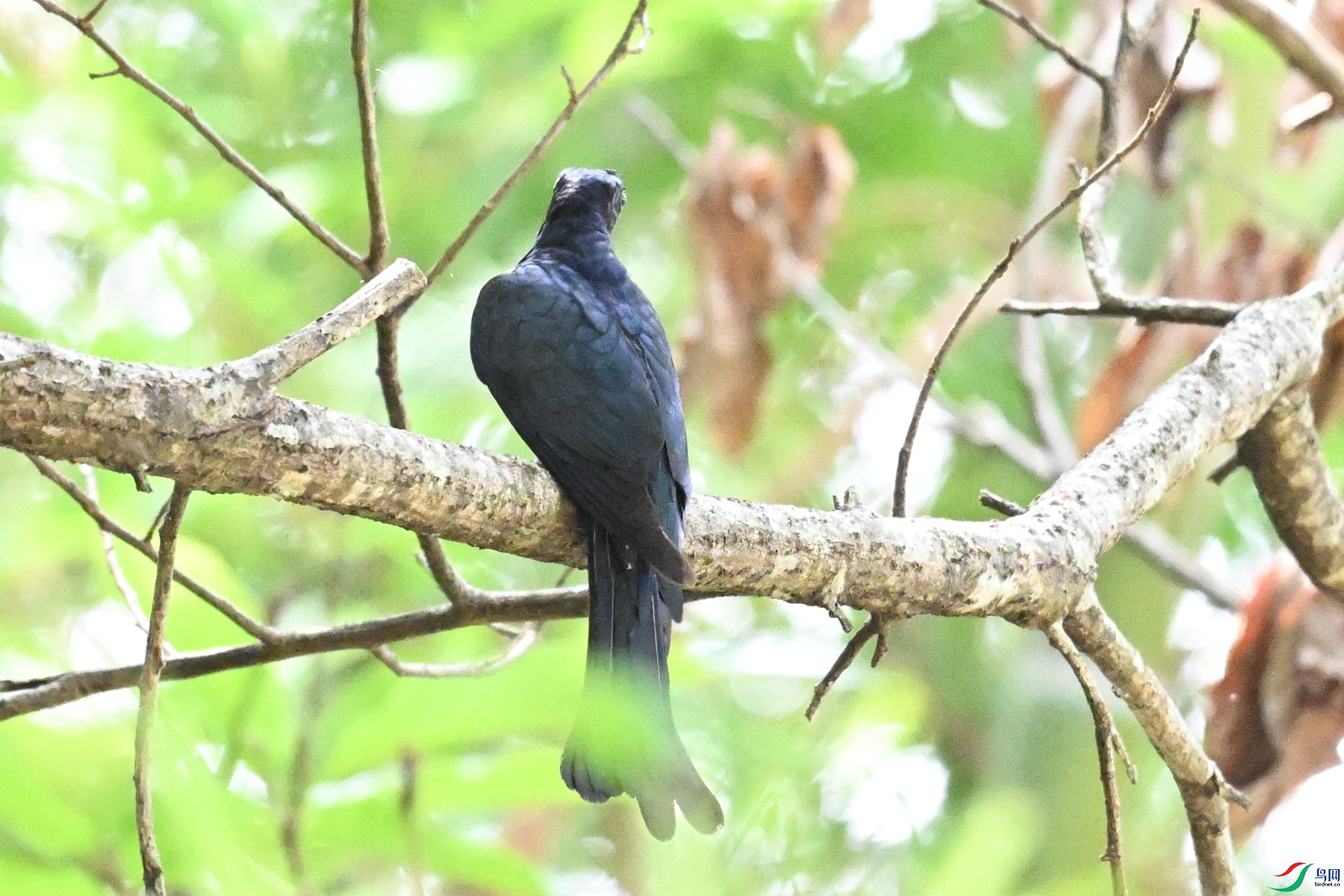 DSC_0634.JPG