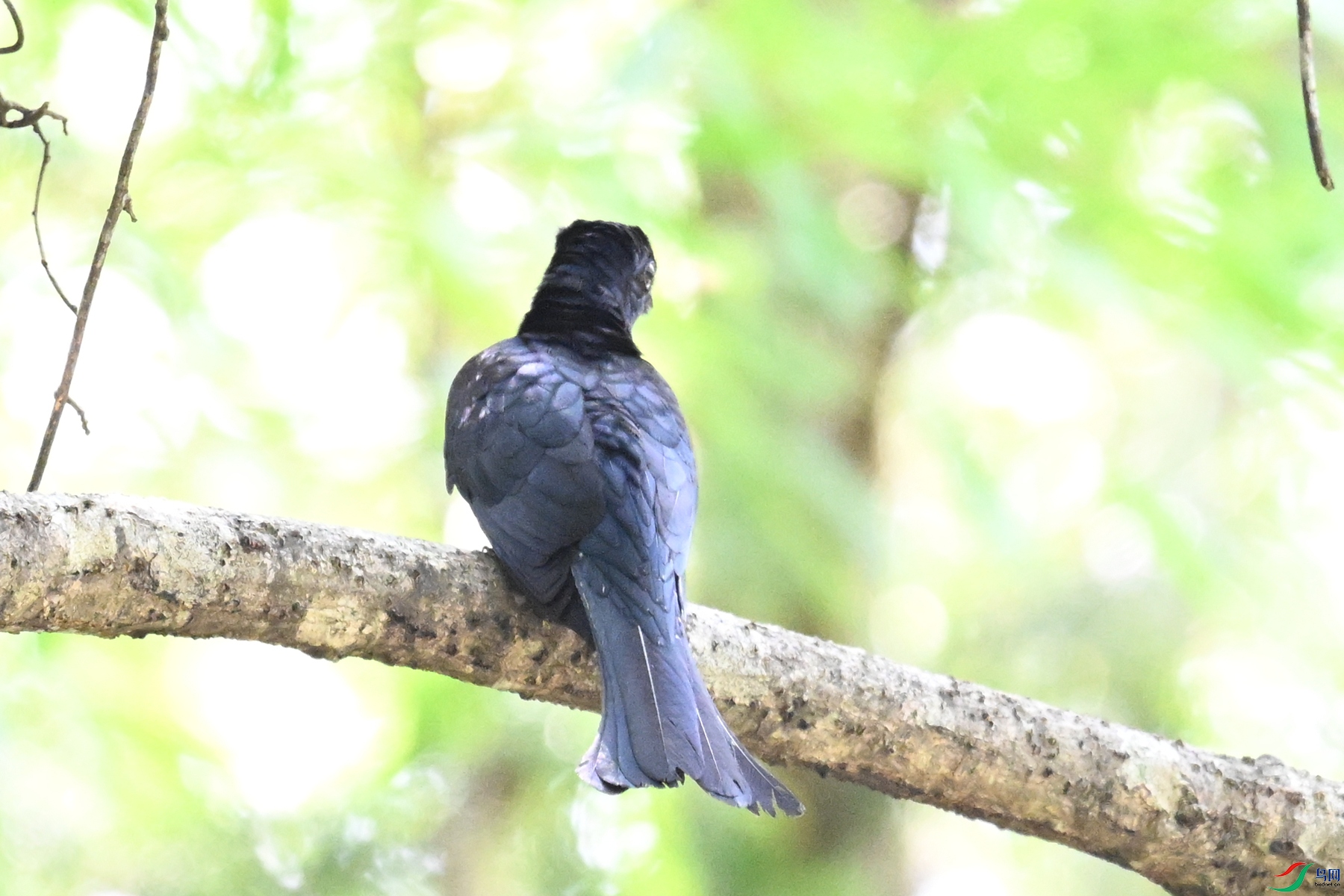 DSC_0681.JPG