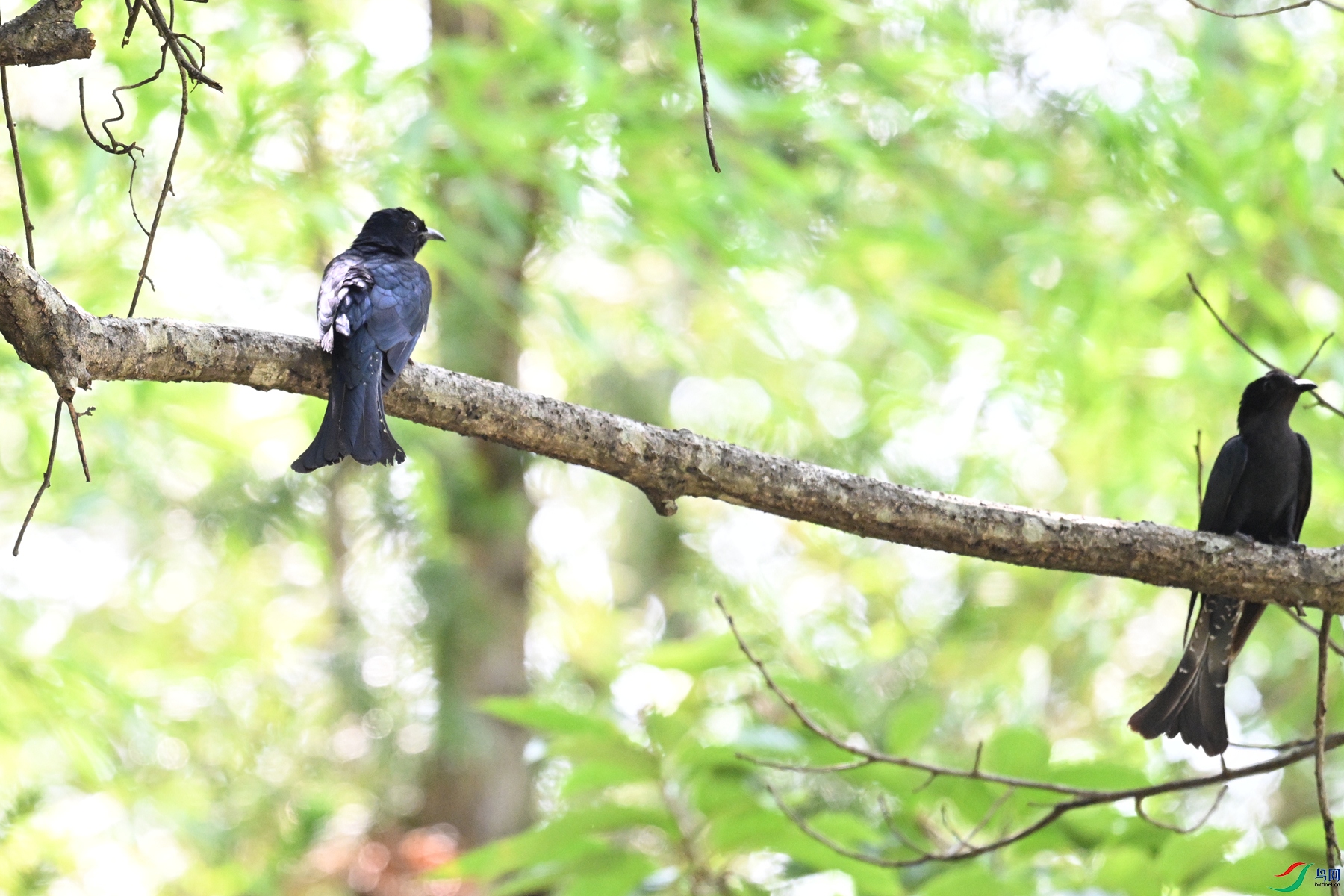 DSC_0697.JPG