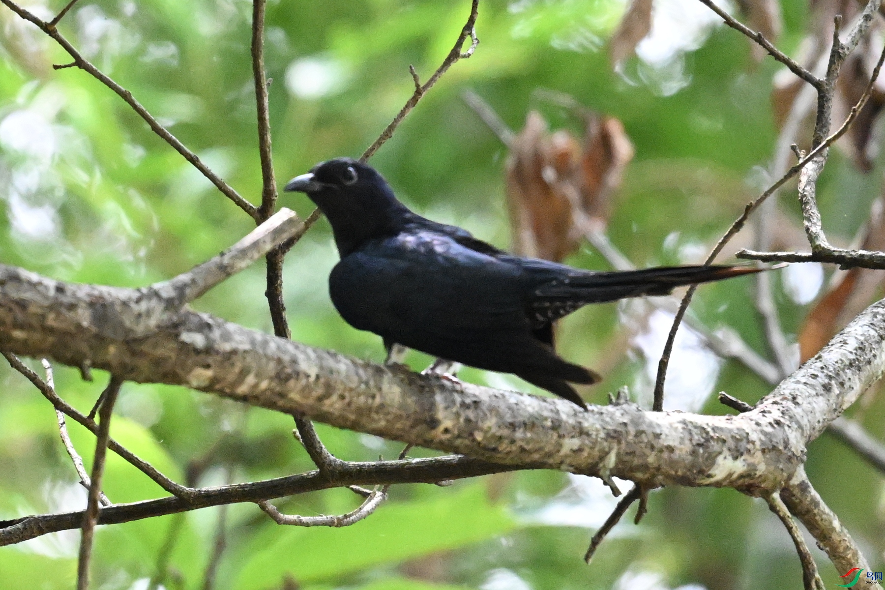 DSC_0639.JPG