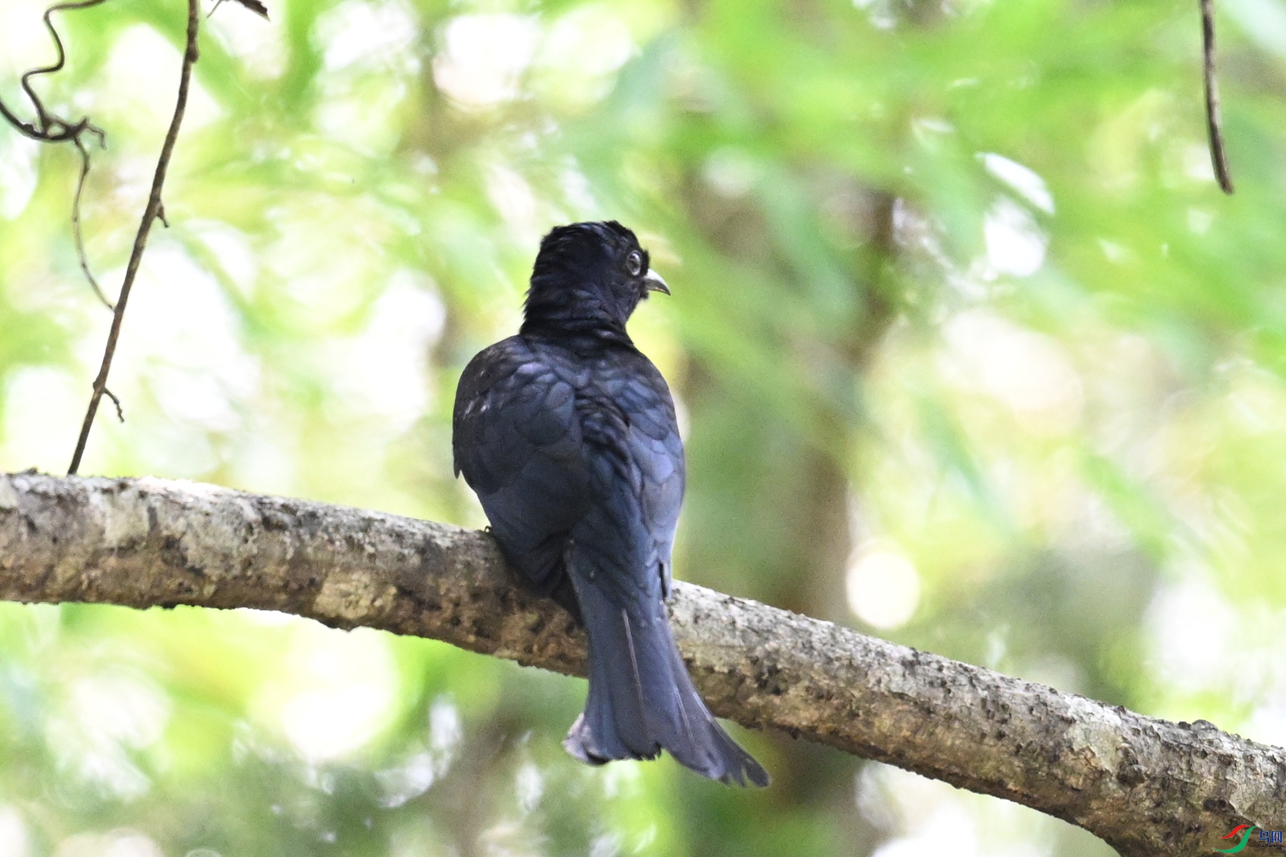 DSC_0683.JPG