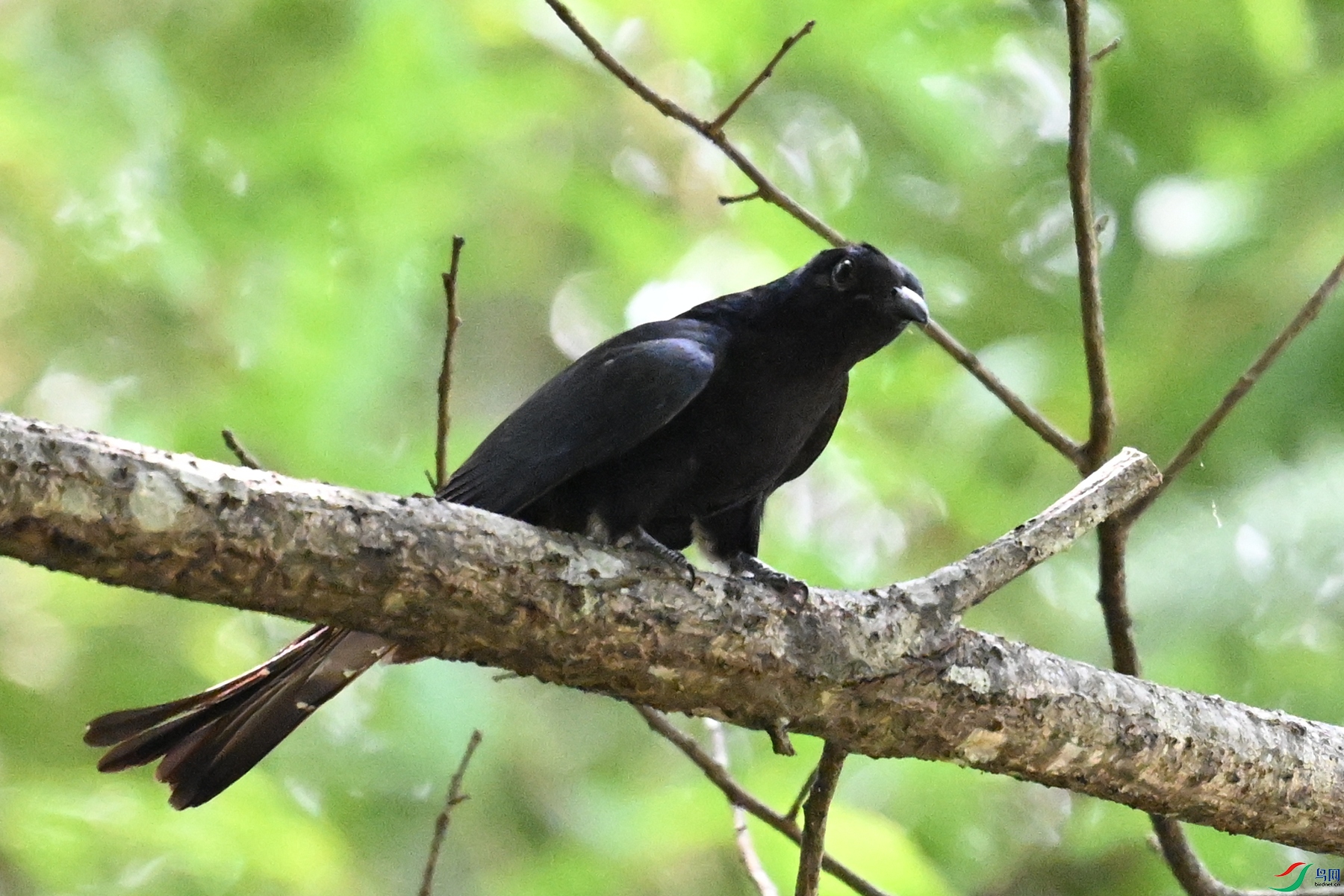 DSC_0645.JPG