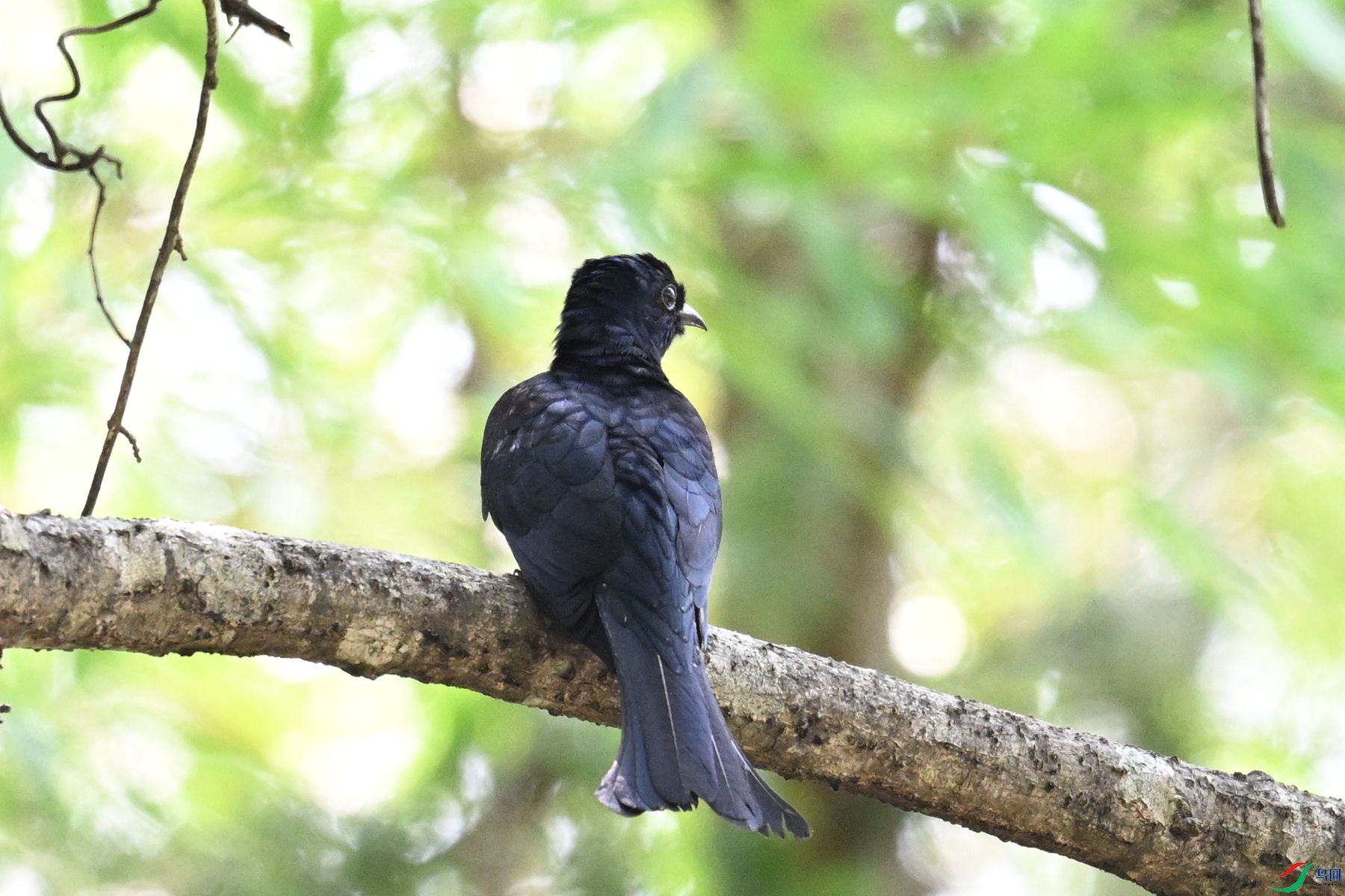 DSC_0685.JPG