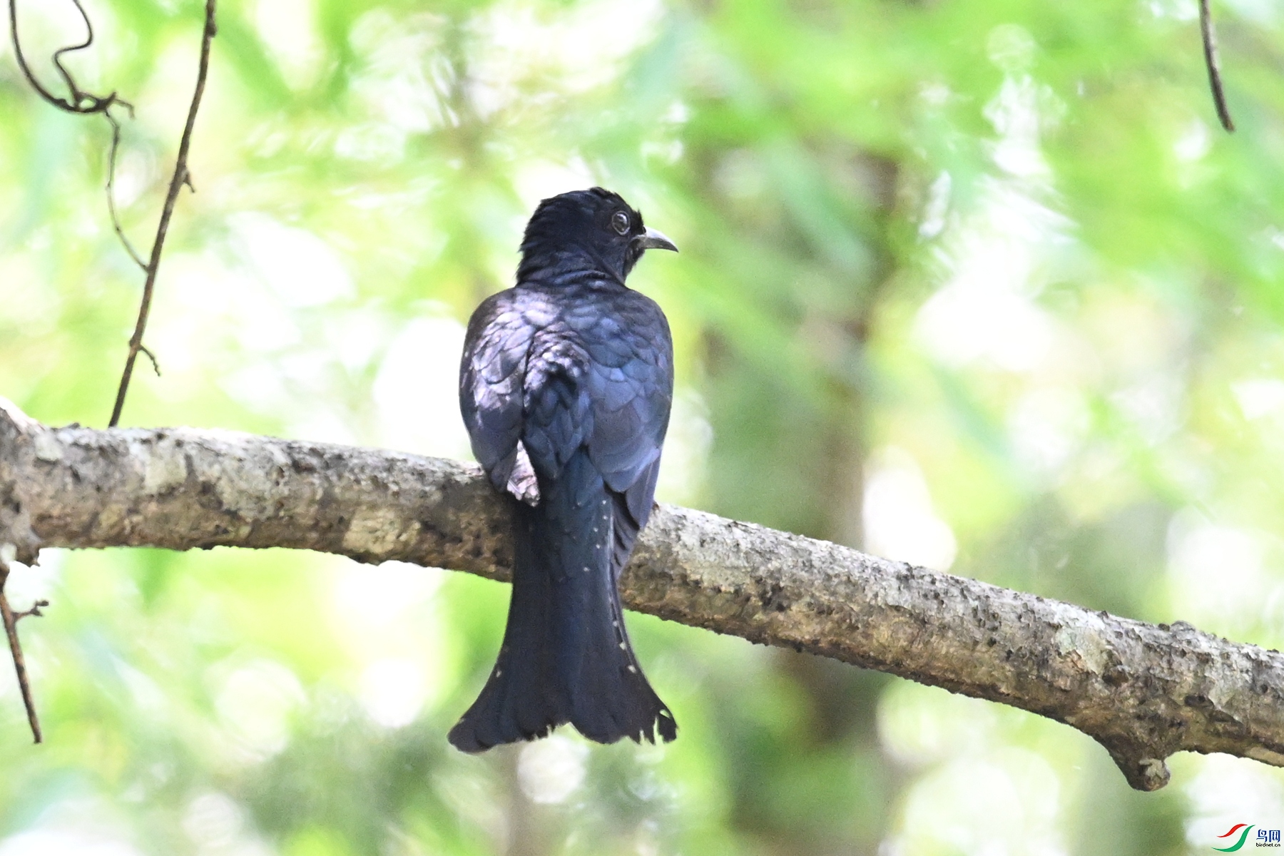 DSC_0704.JPG