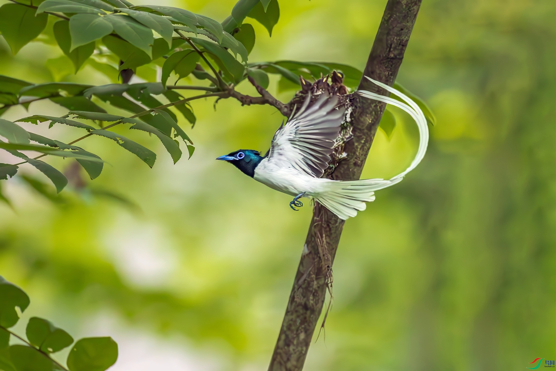 _15A3277_����.jpg