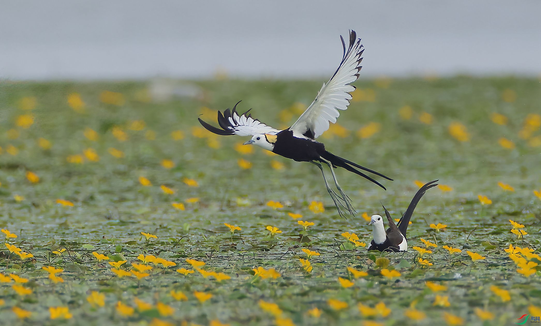 4R6A0282-SharpenAI-Motion.jpg
