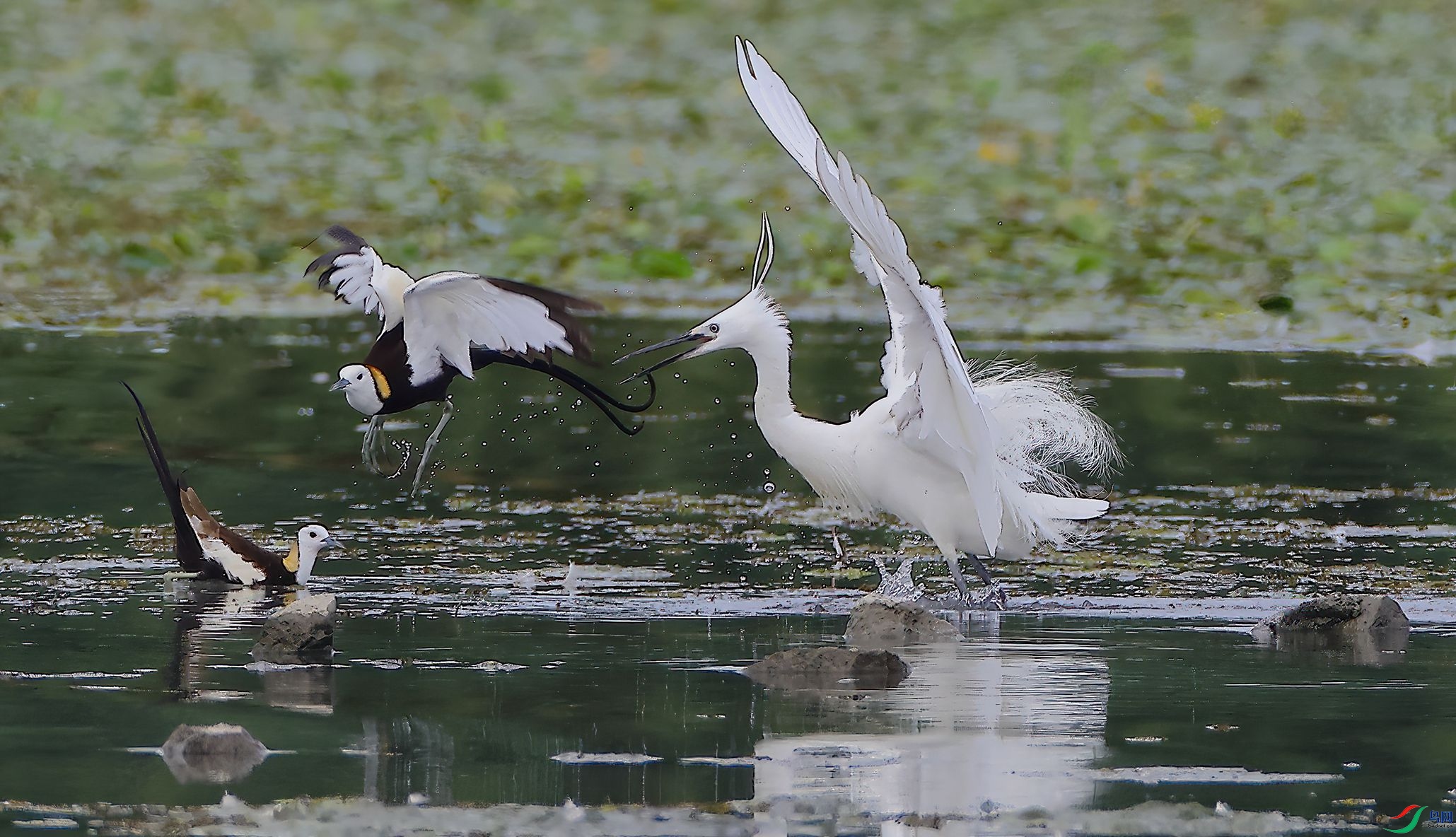 4R6A9273-SharpenAI-Motion.jpg