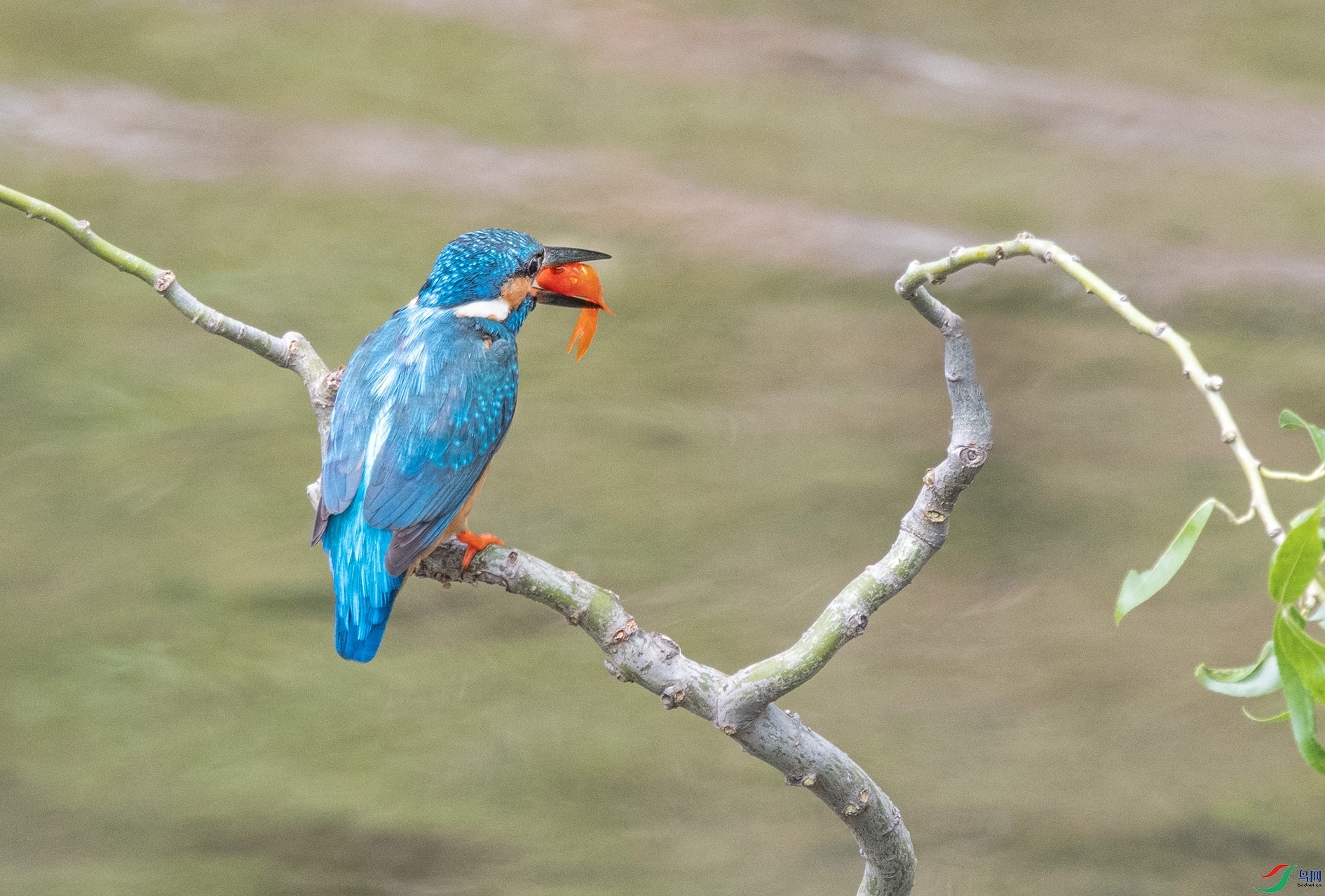 DSC_3795_��ͼ��_��ͼ�� ����.jpg