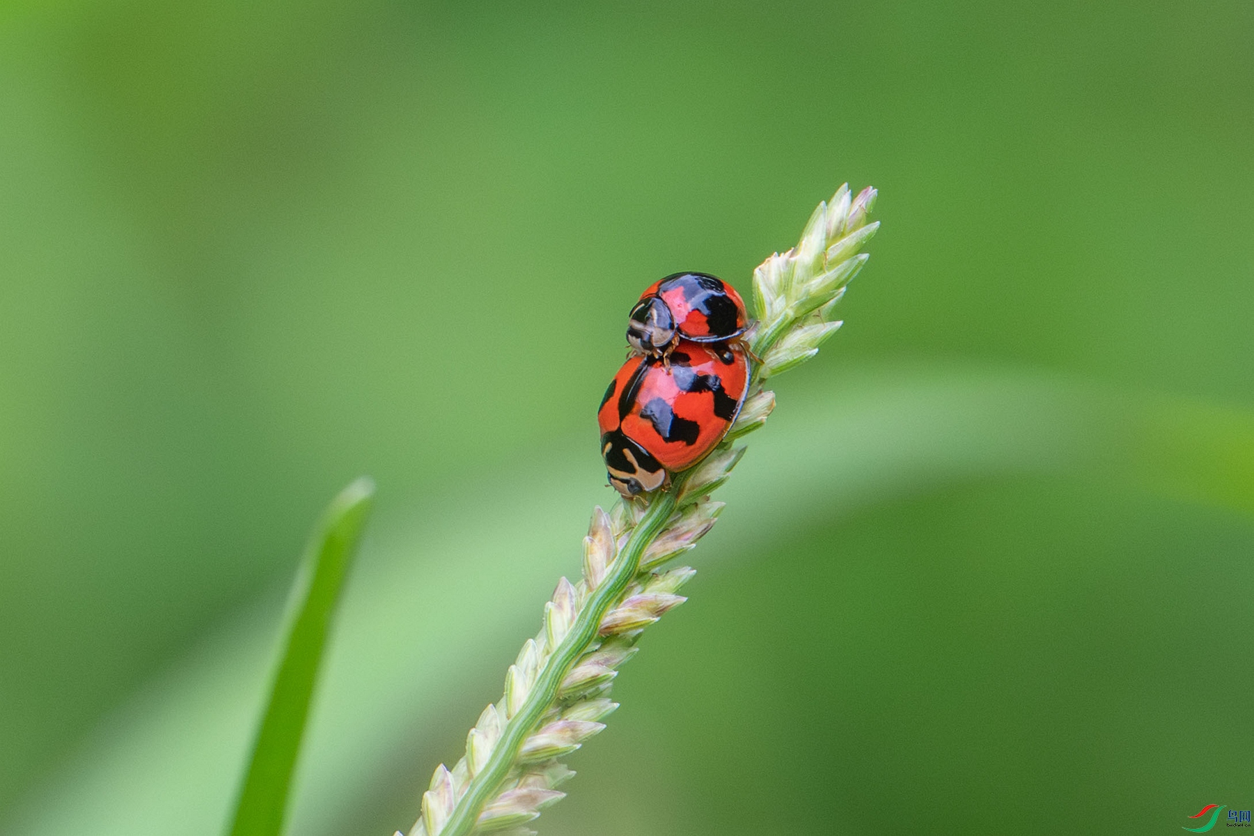 DSC_6364_����.jpg