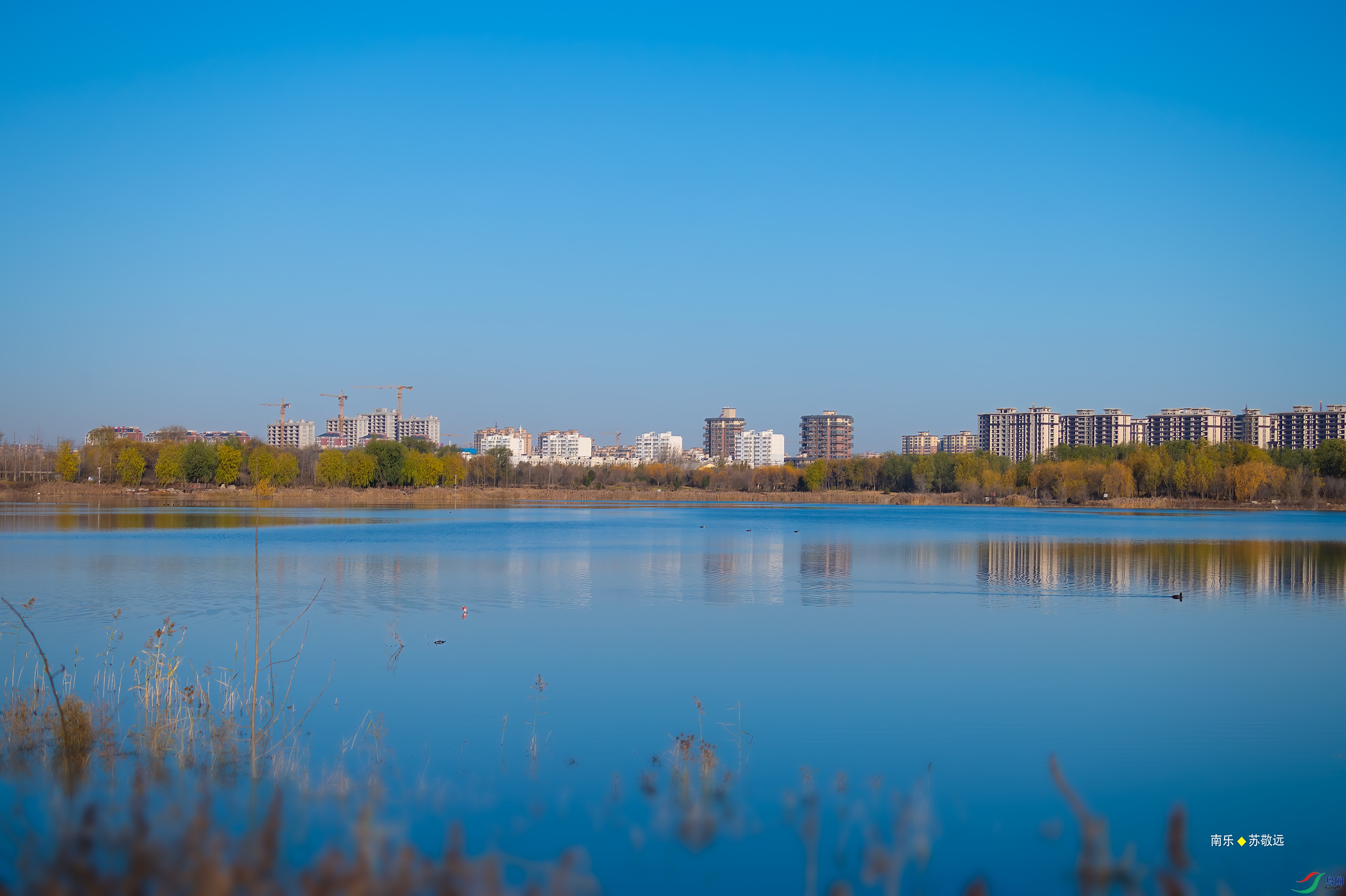 _AAA3823-DxO_С.jpg