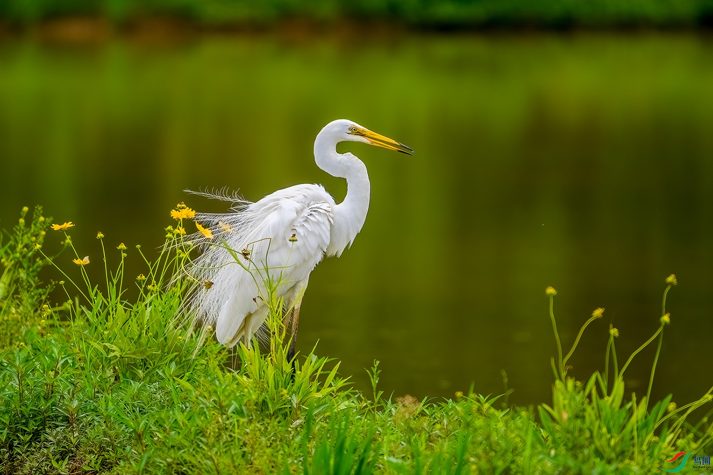 DSC_3615b.jpg