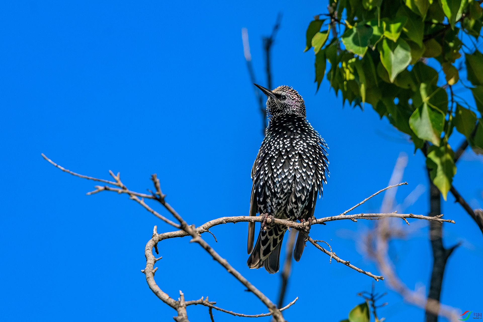 _AUU0973 �ϳ����(25.11.25).jpg