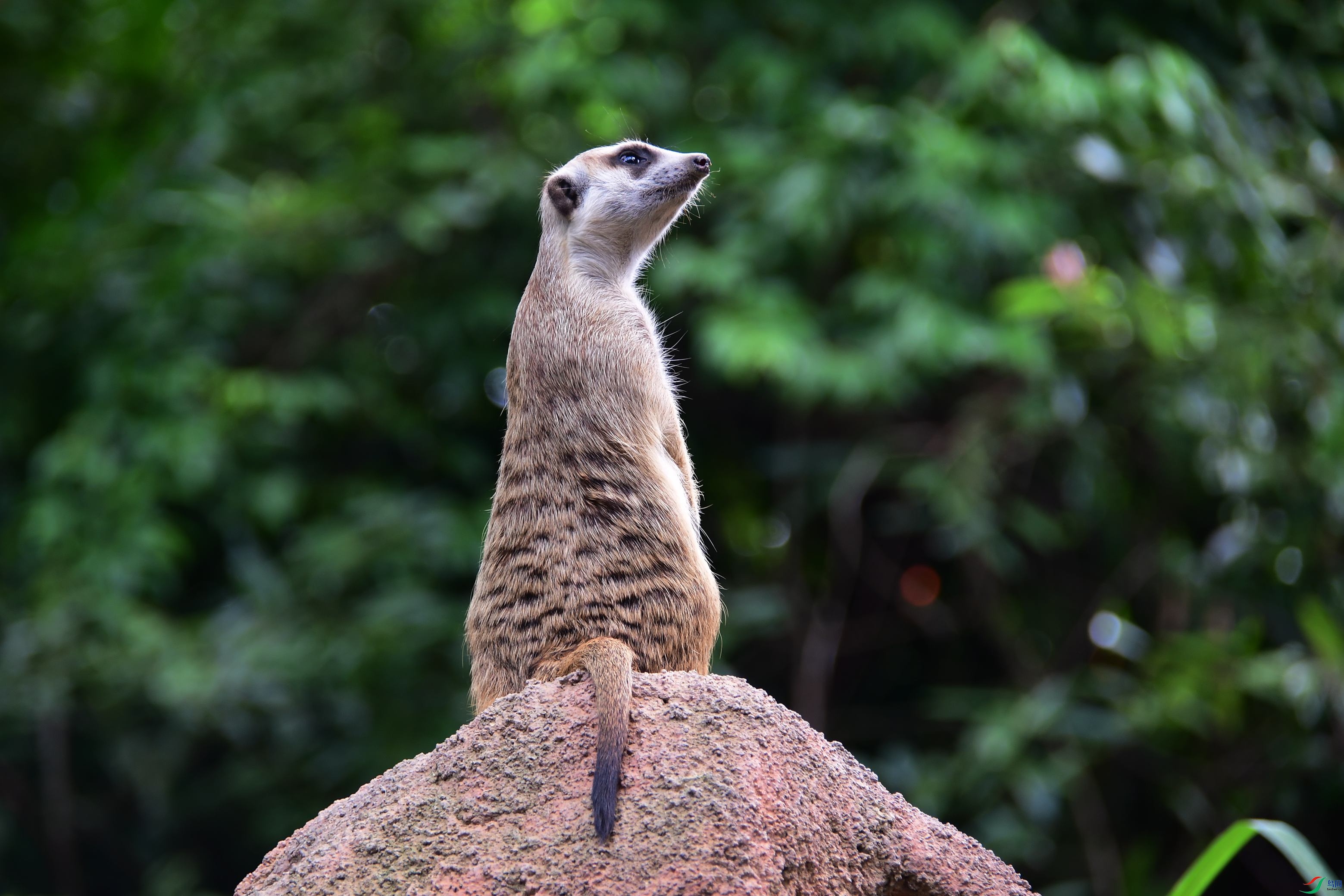 DSC_2886.JPG
