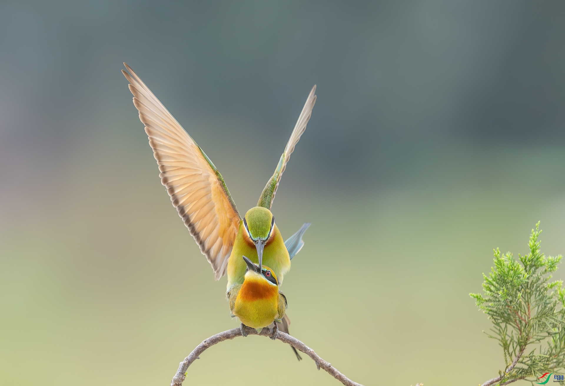 DSC_6901-1.jpg