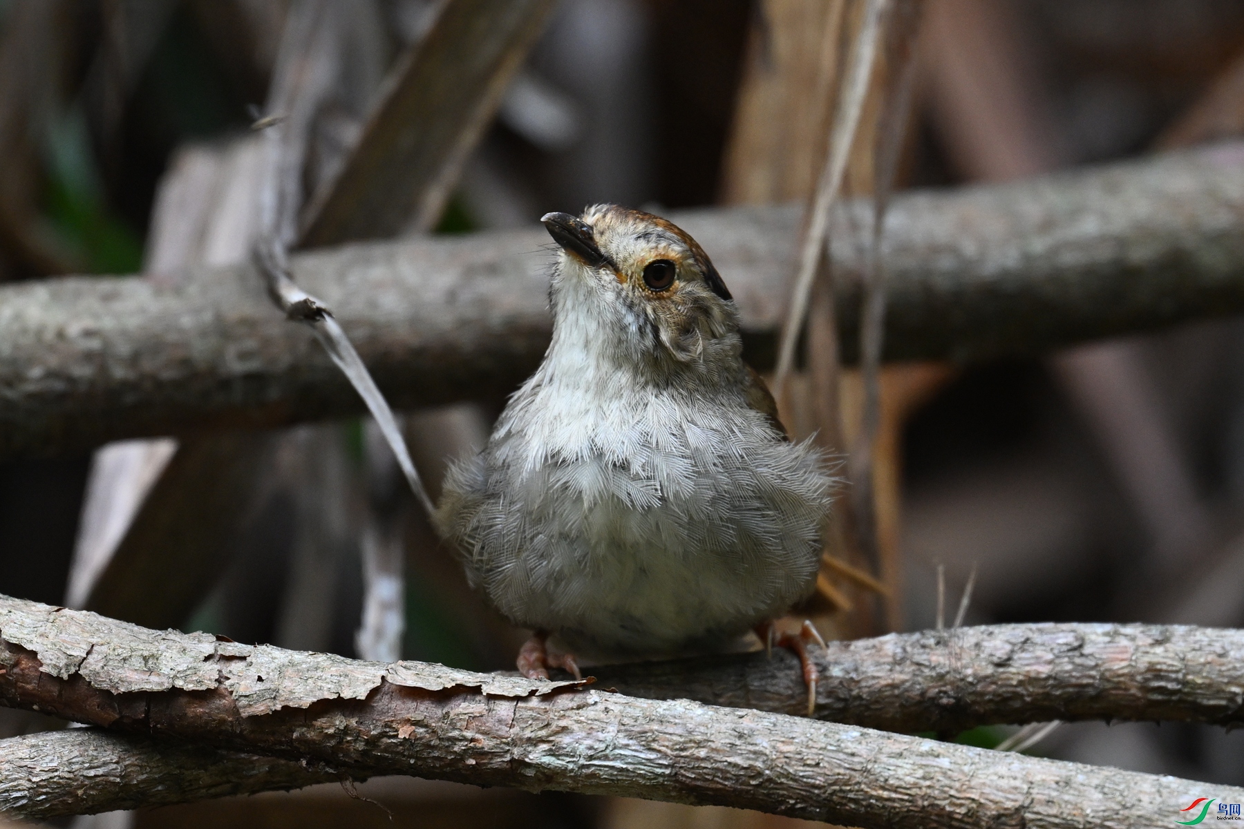 DSC_0256.JPG