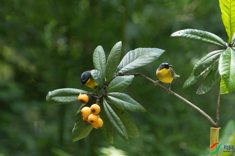 0B0A5814A.jpg