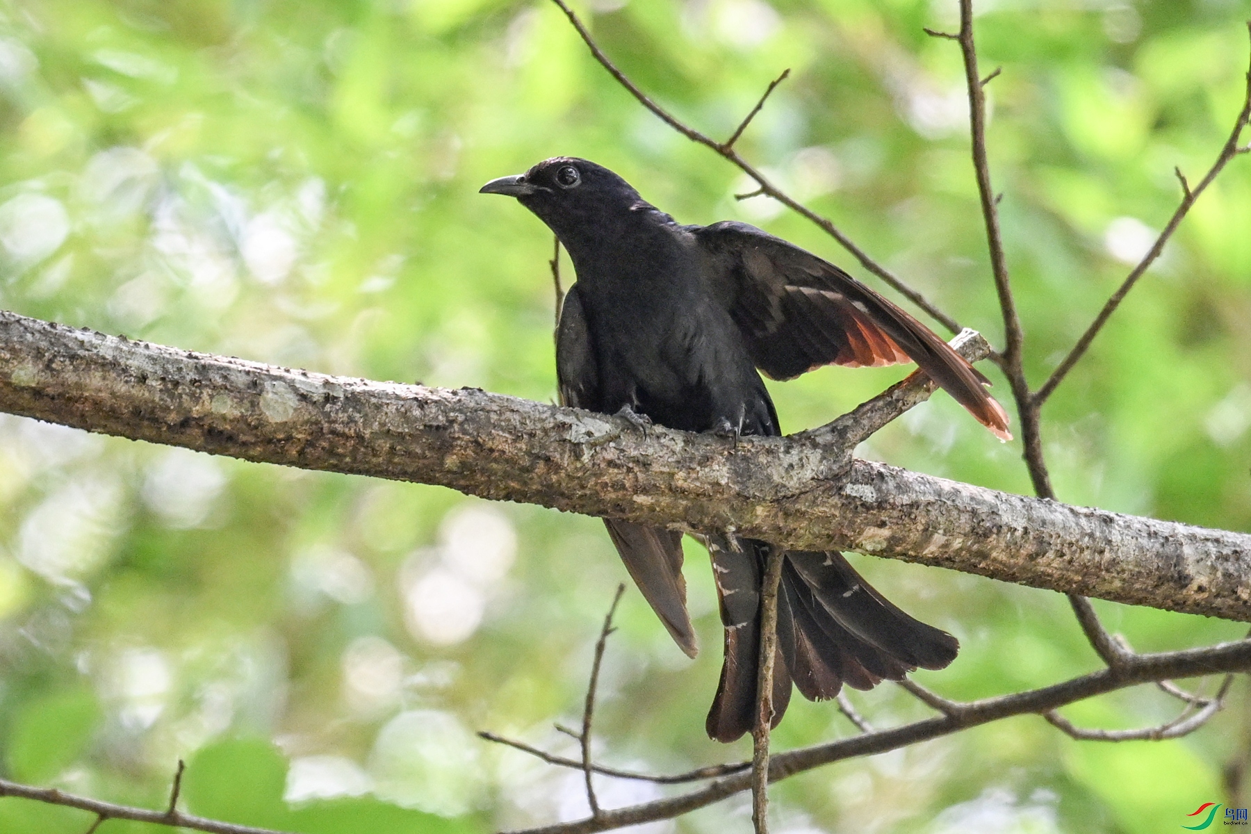 DSC_0708.JPG