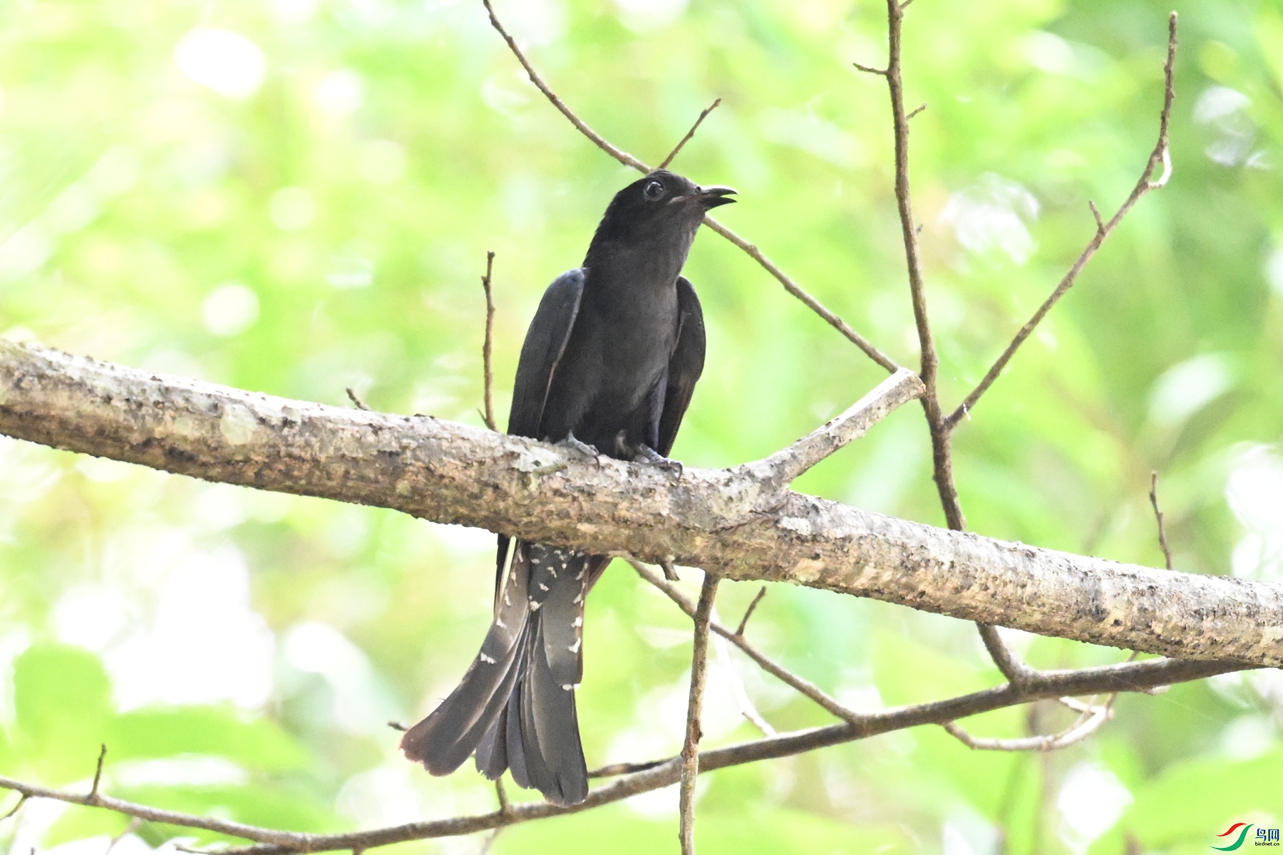 DSC_0653.JPG
