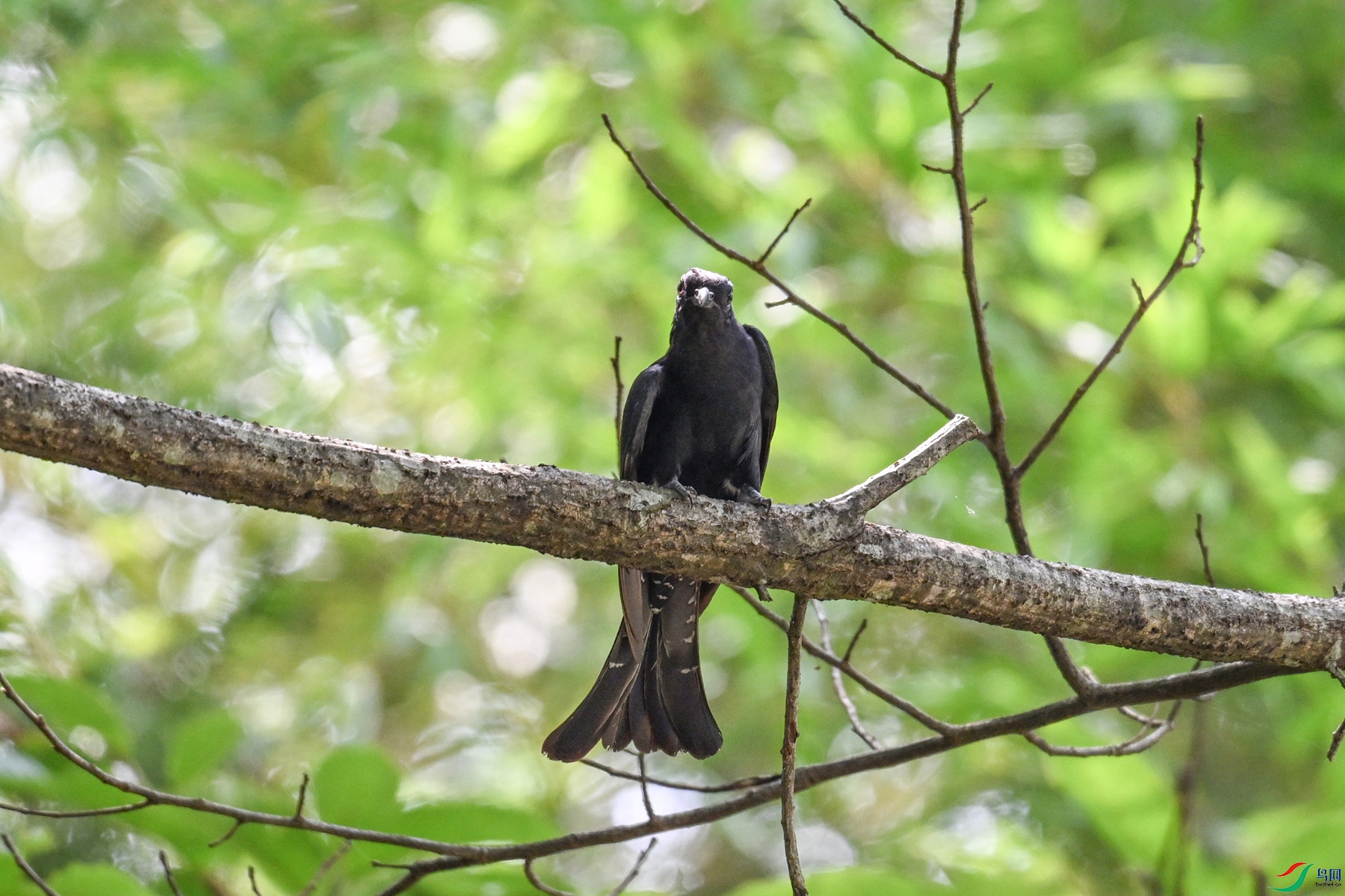 DSC_0712.JPG