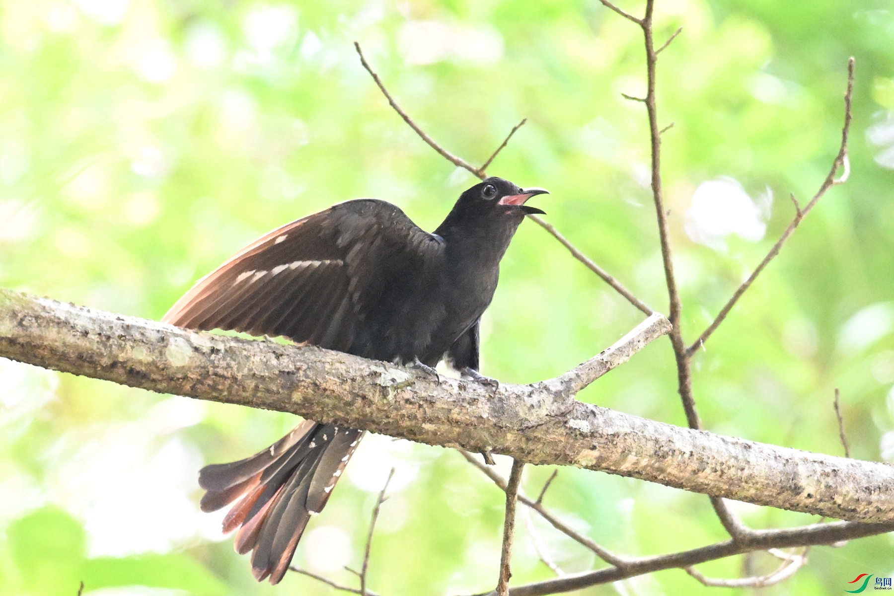 DSC_0657.JPG