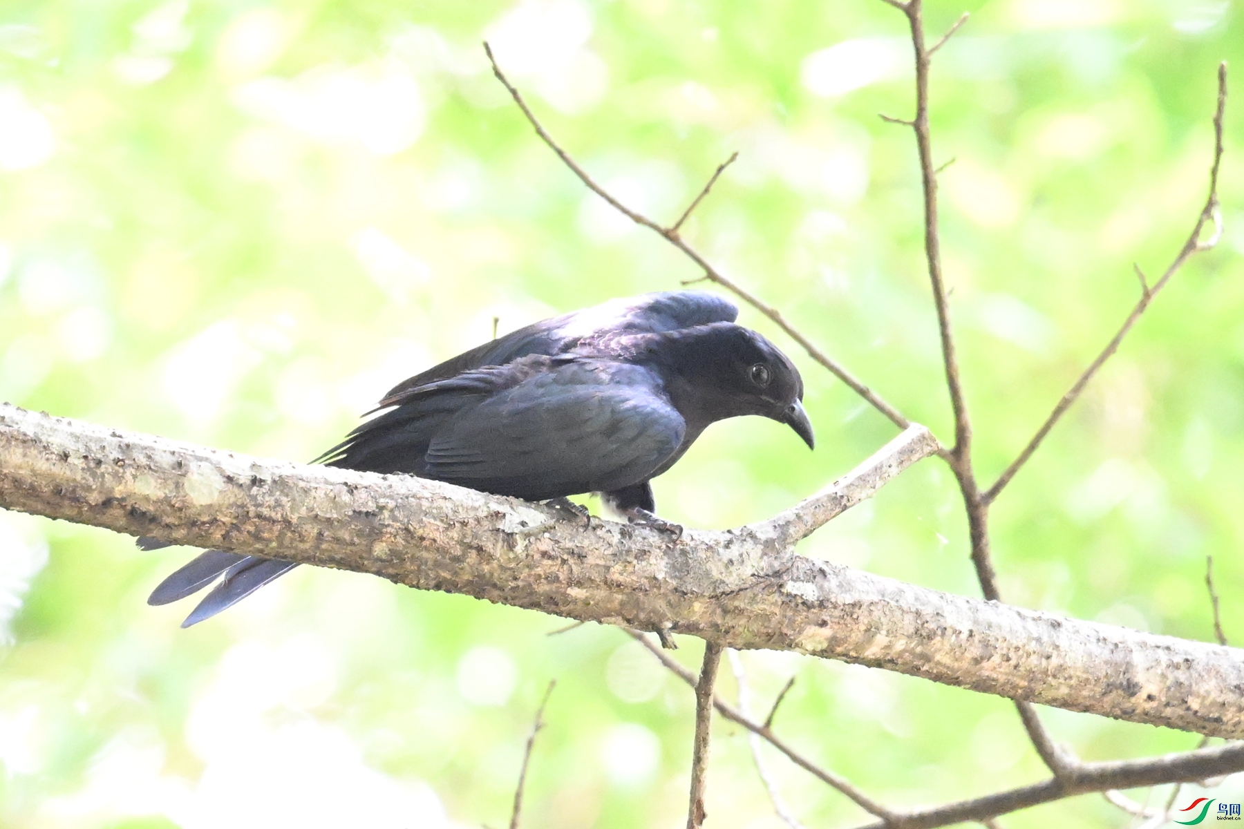 DSC_0671.JPG
