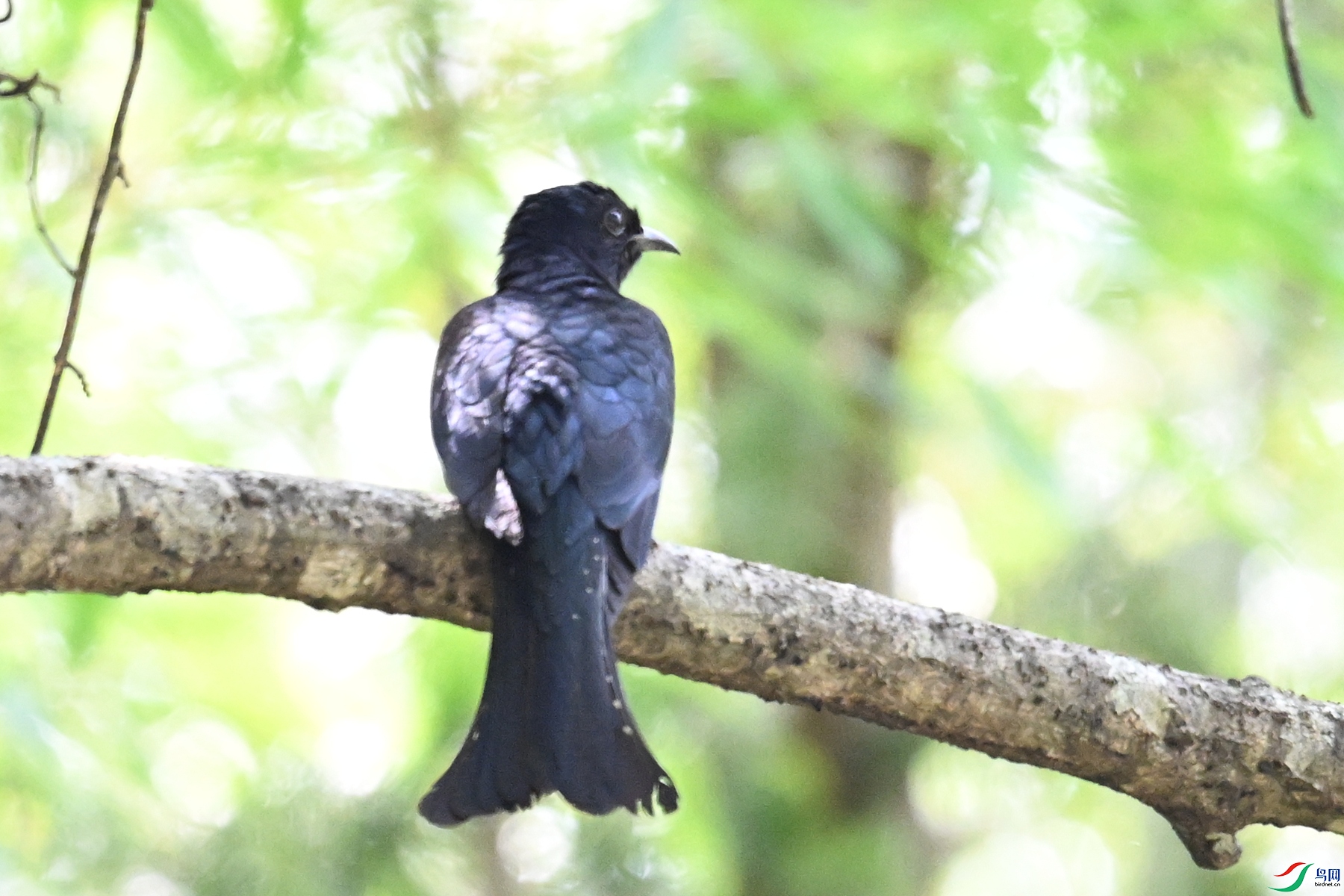 DSC_0703.JPG