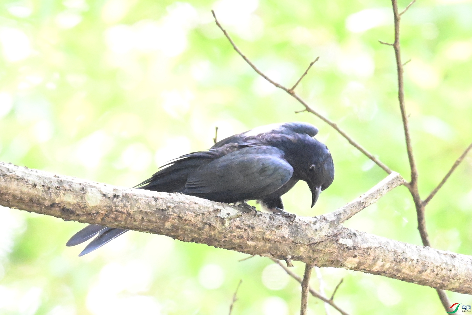 DSC_0673.JPG