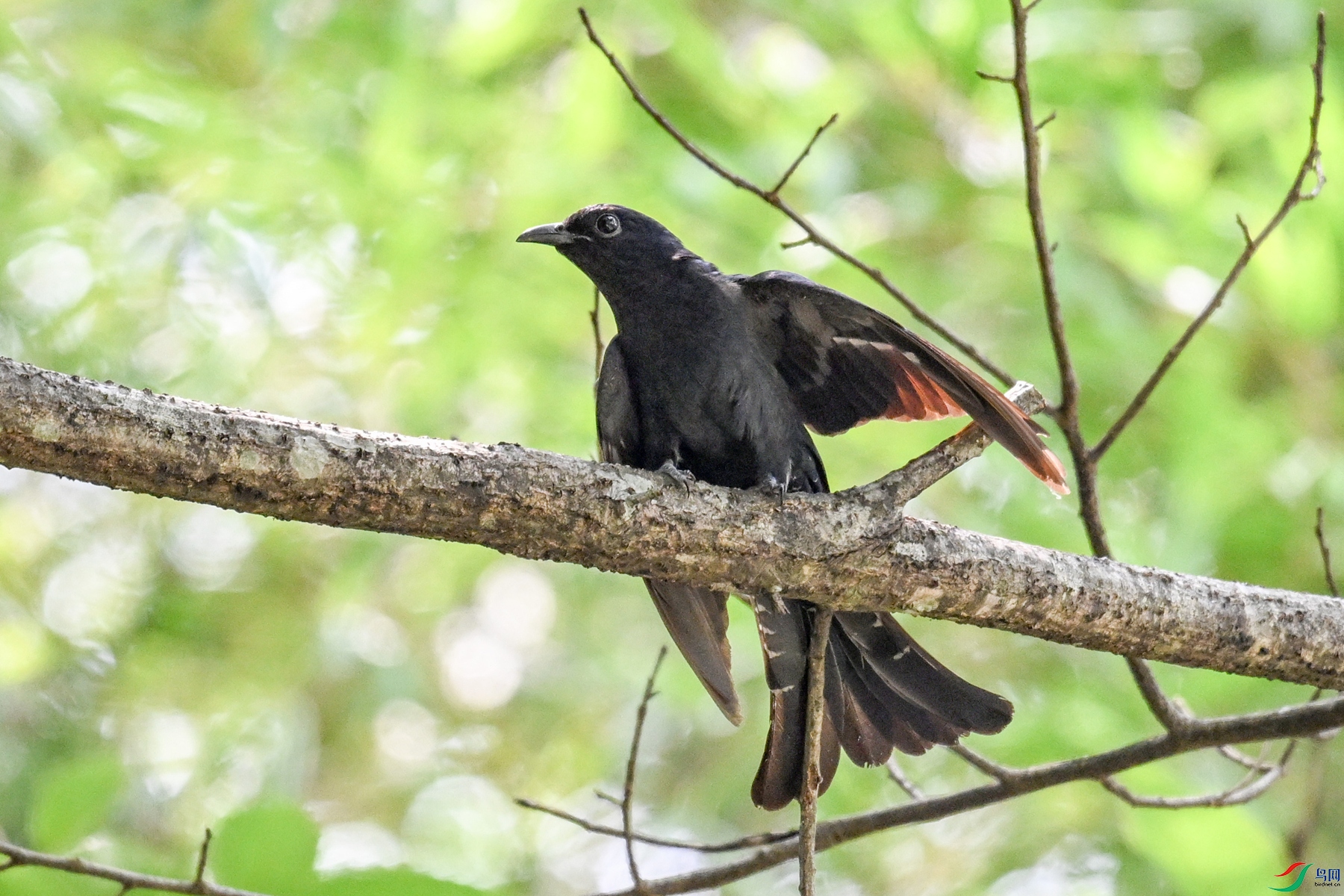 DSC_0707.JPG