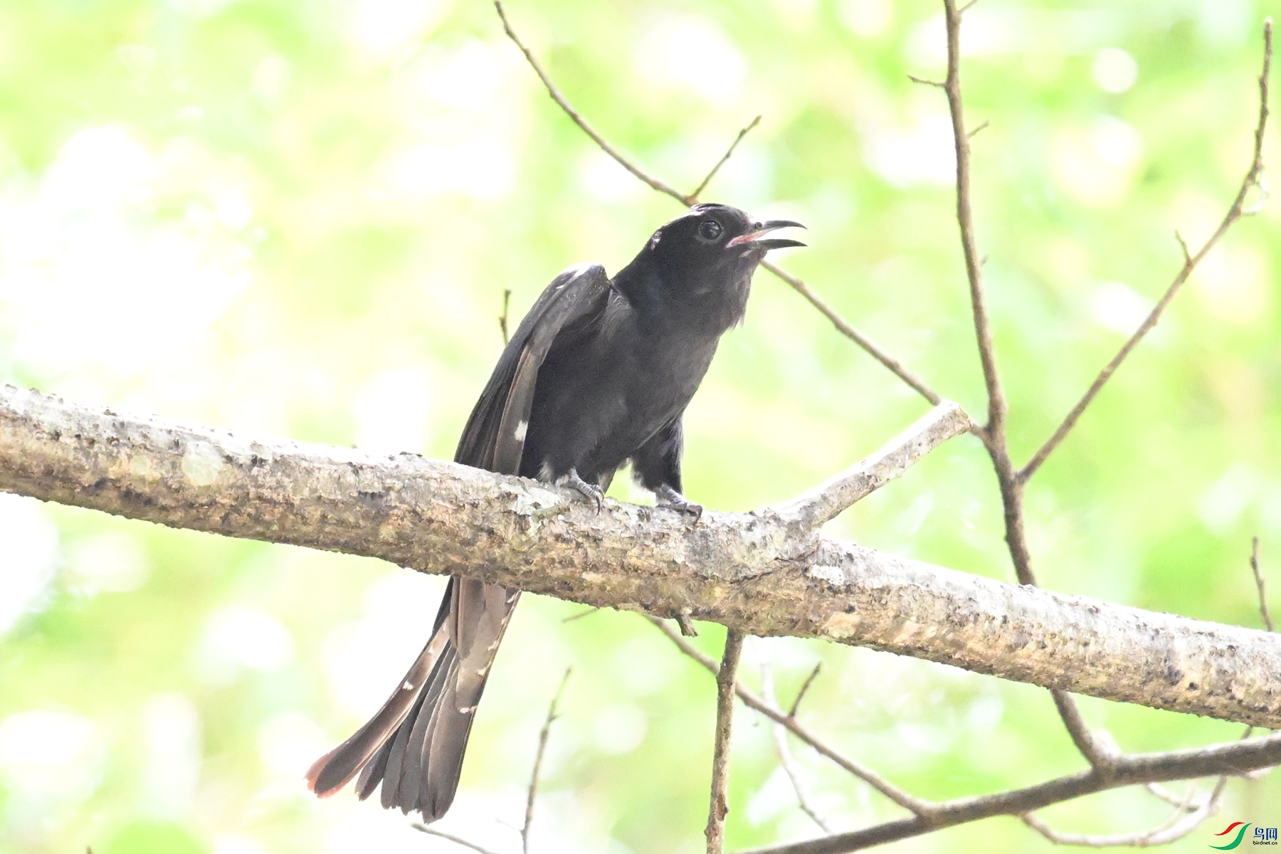 DSC_0716.JPG