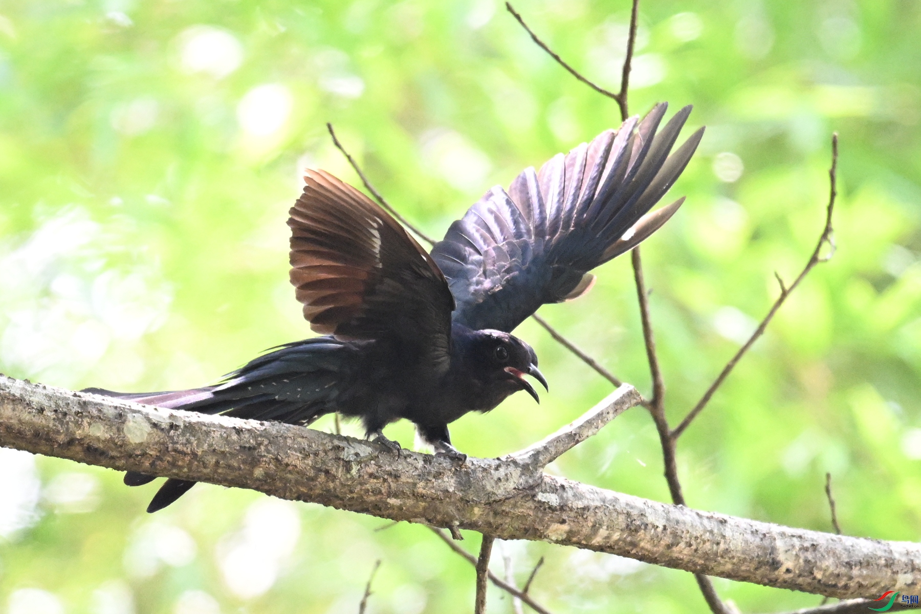 DSC_0721.JPG