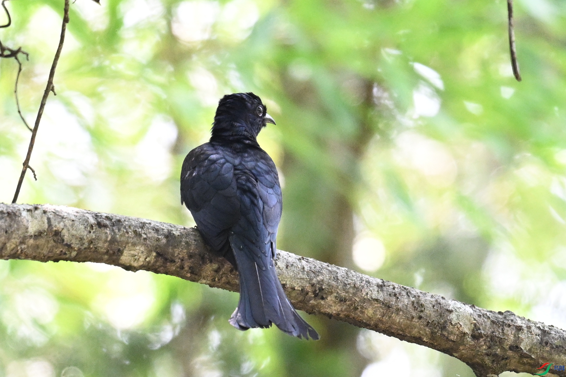 DSC_0684.JPG