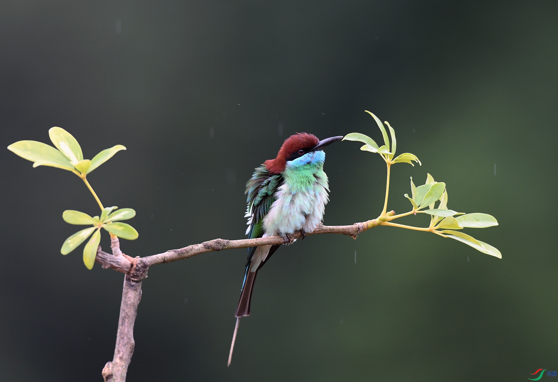 DSC_7879.jpg
