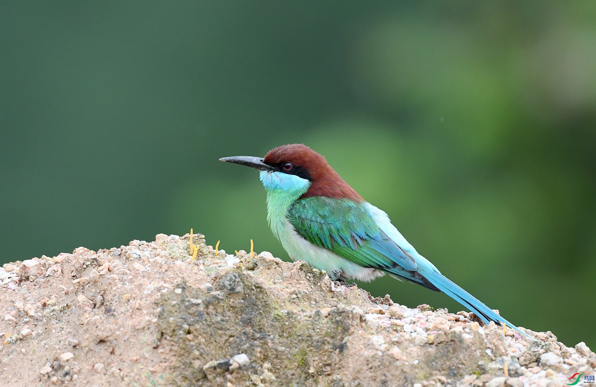 DSC_7677.jpg