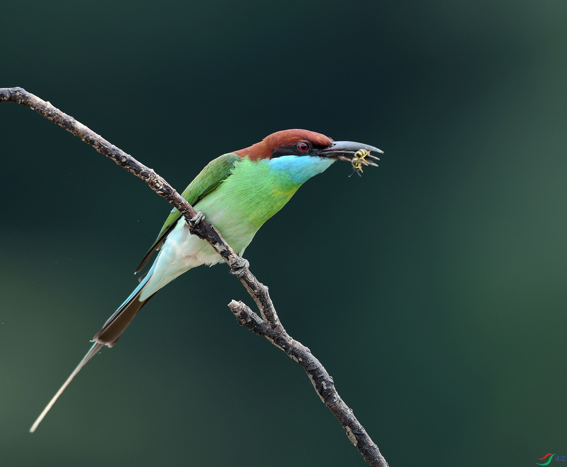 DSC_9136.jpg