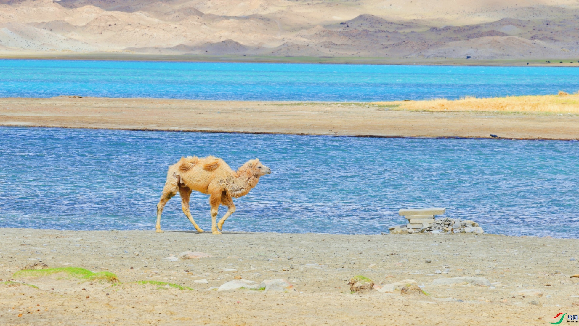 MEITU_20260522_060956511_����.jpg