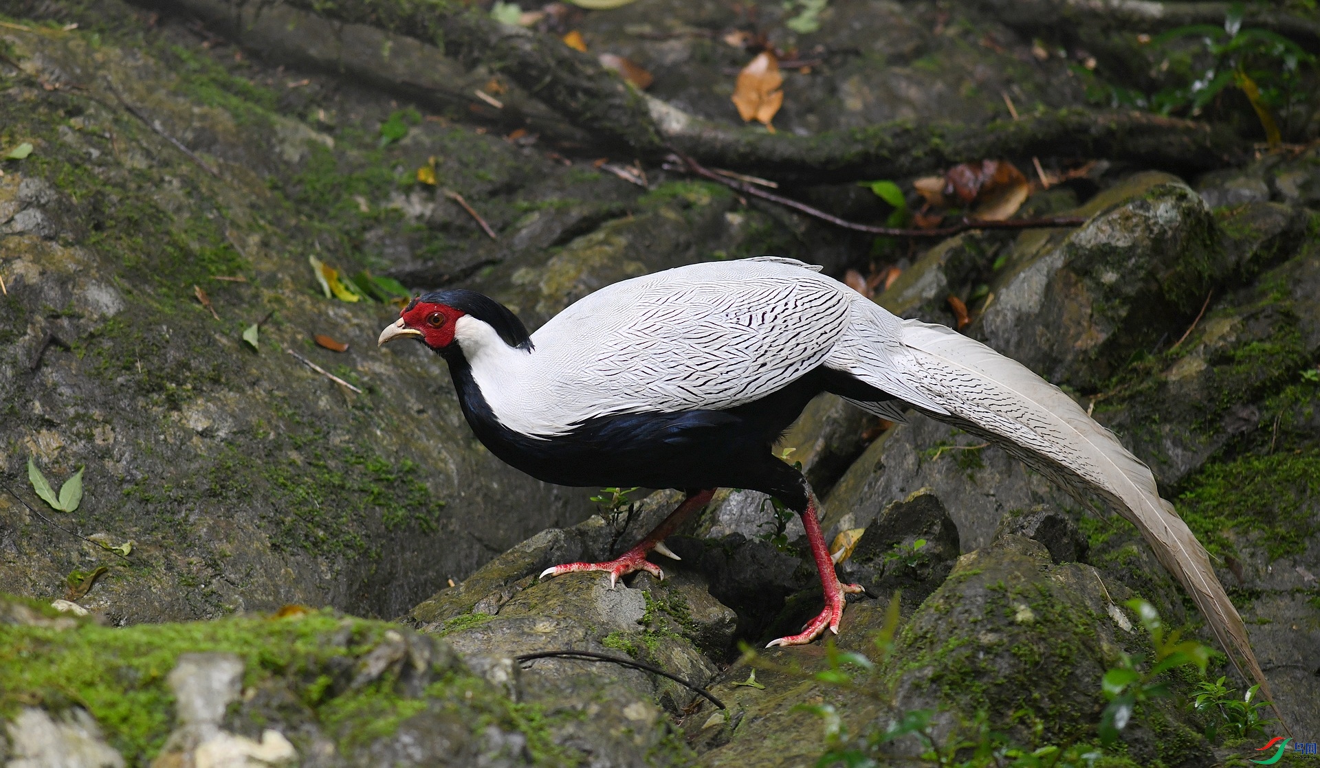 DSC_7124.jpg