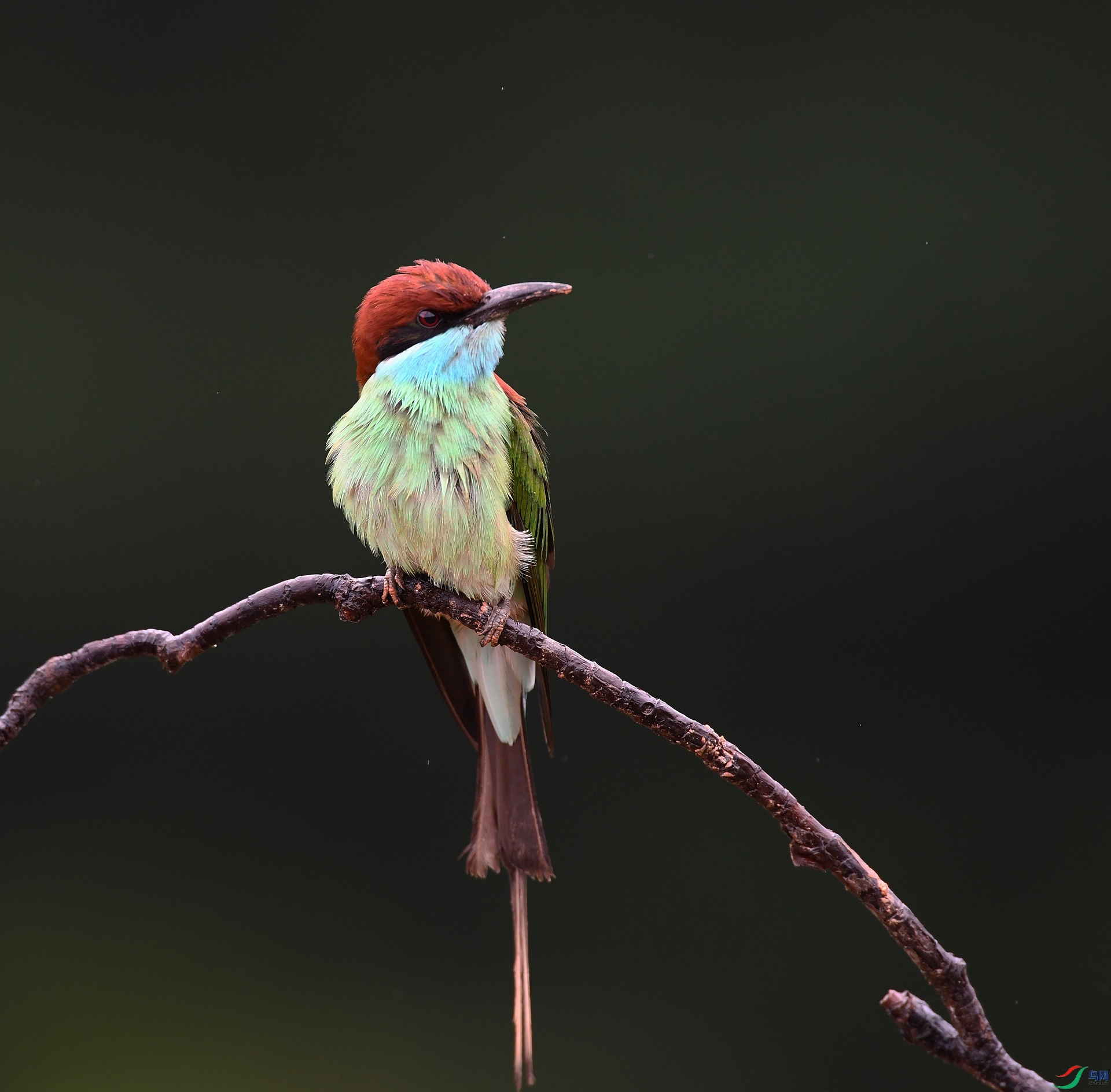 DSC_8105.jpg