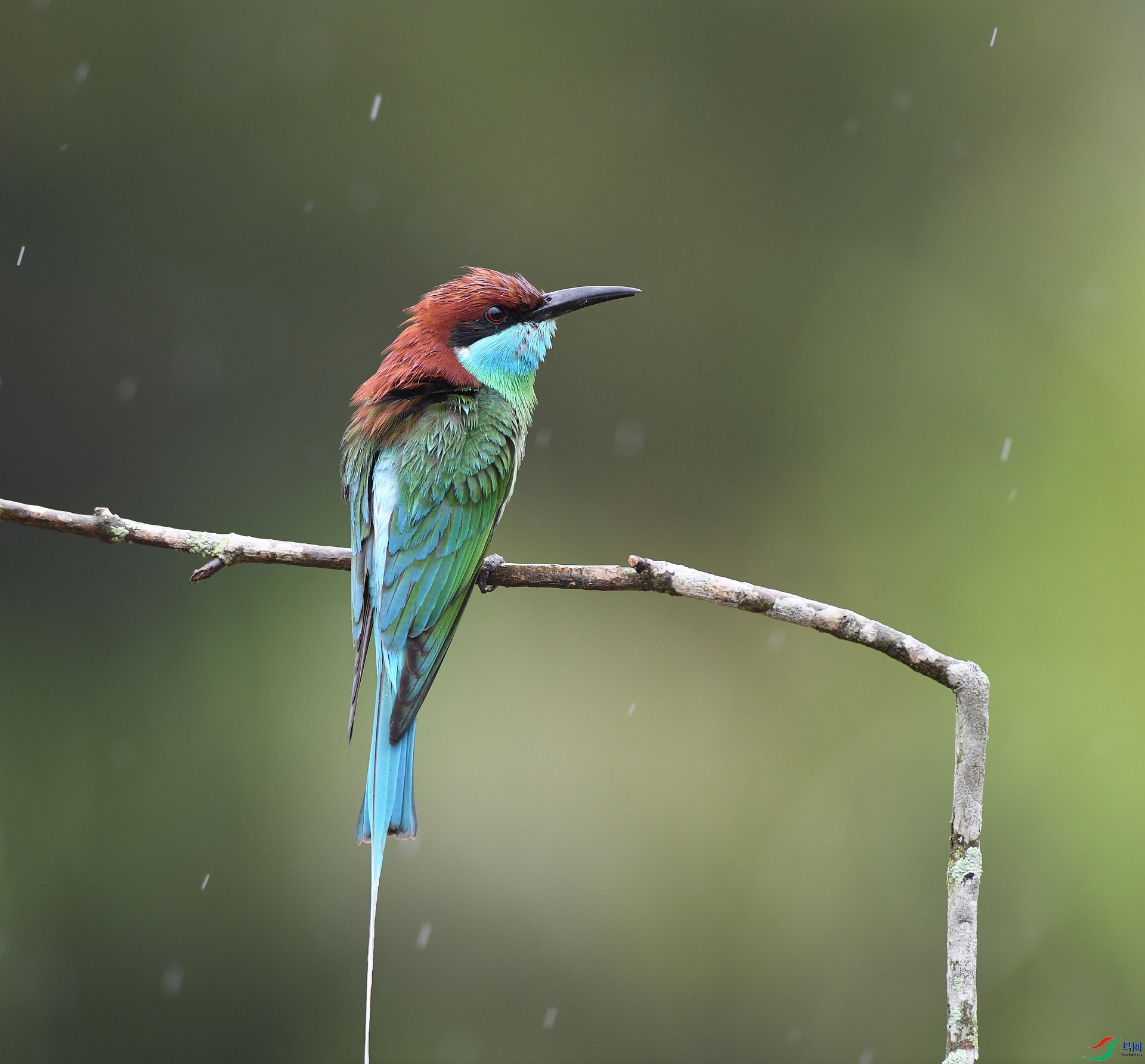 DSC_6464.jpg