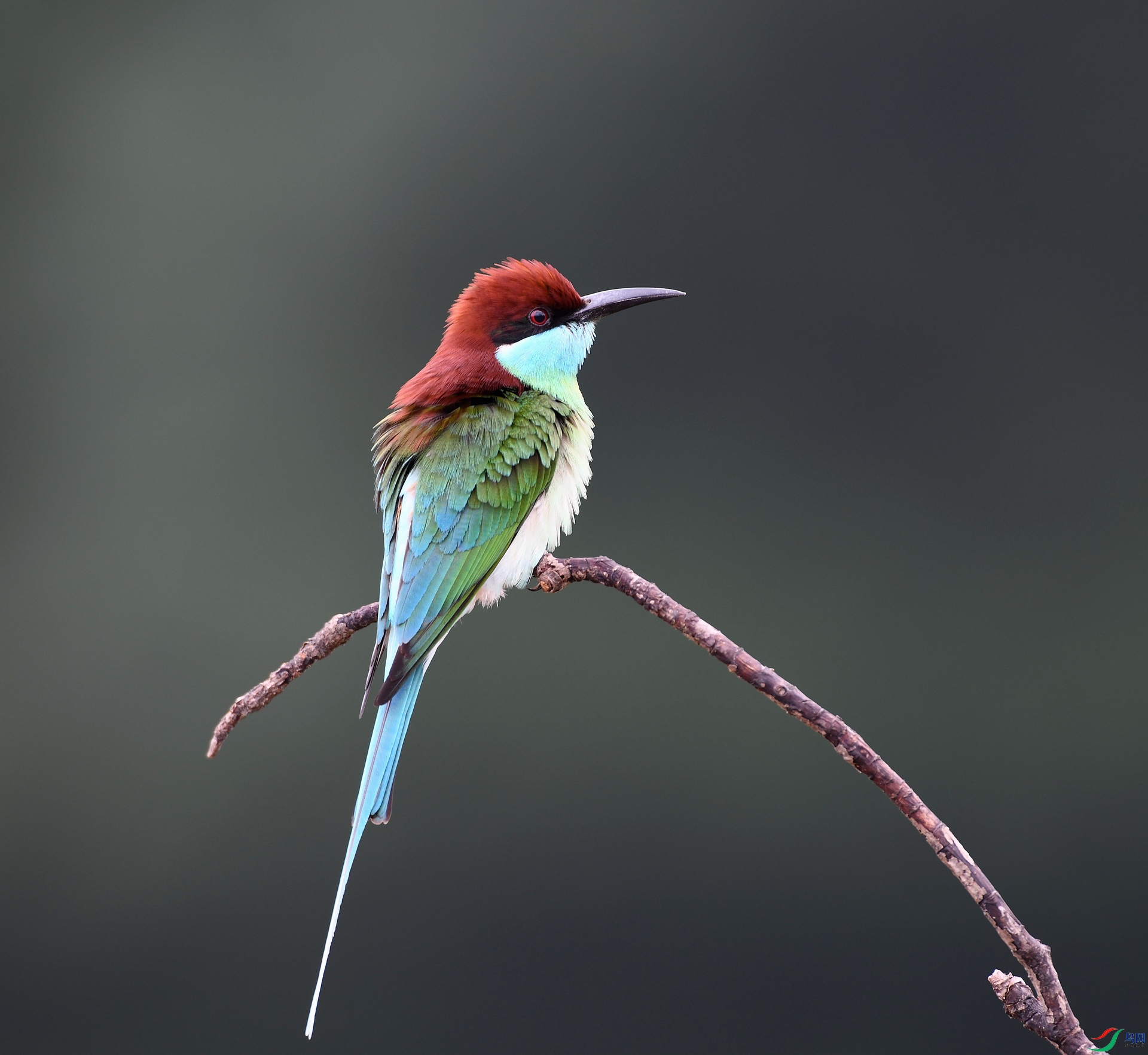 DSC_7123.jpg