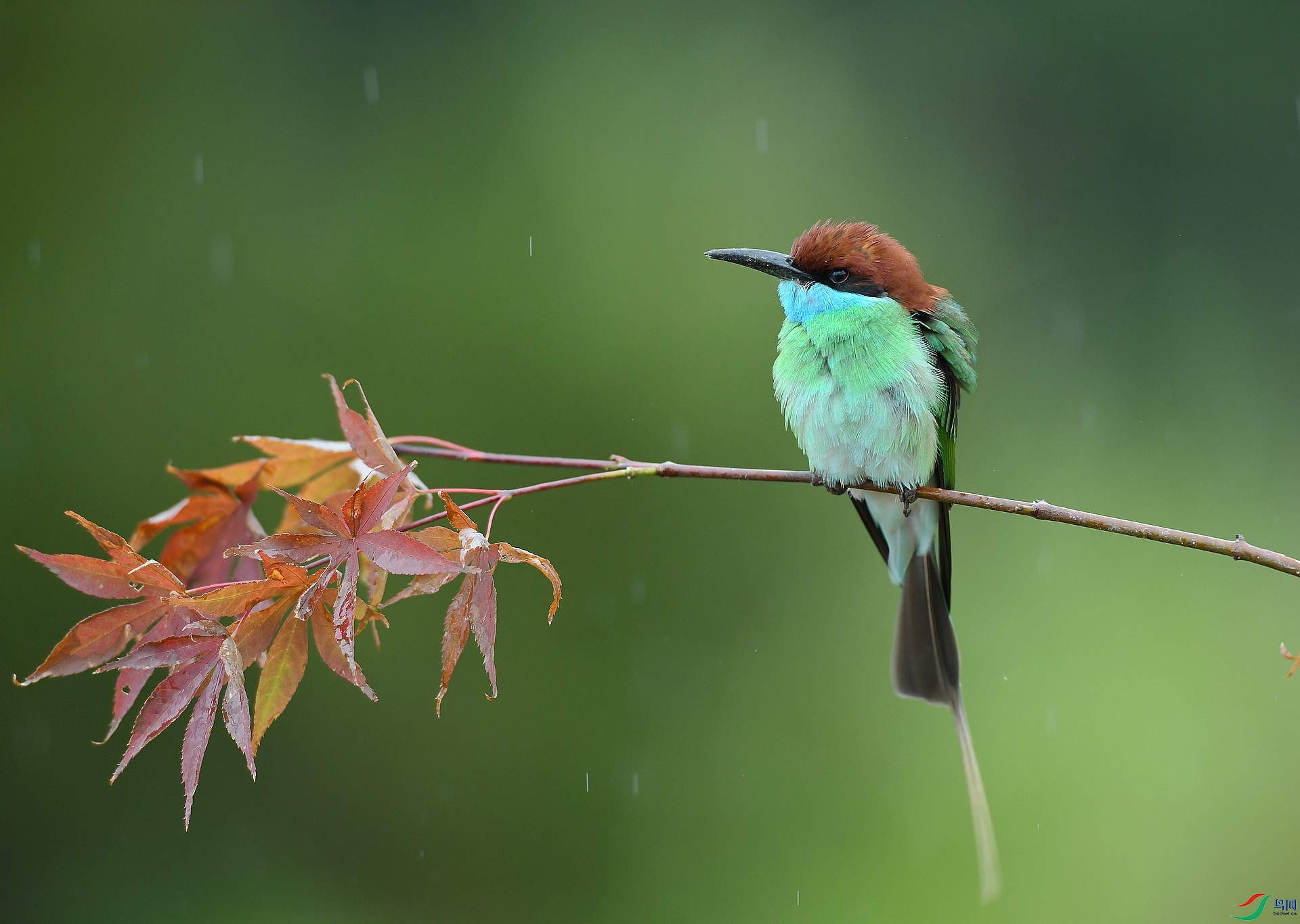 DSC_7439.jpg