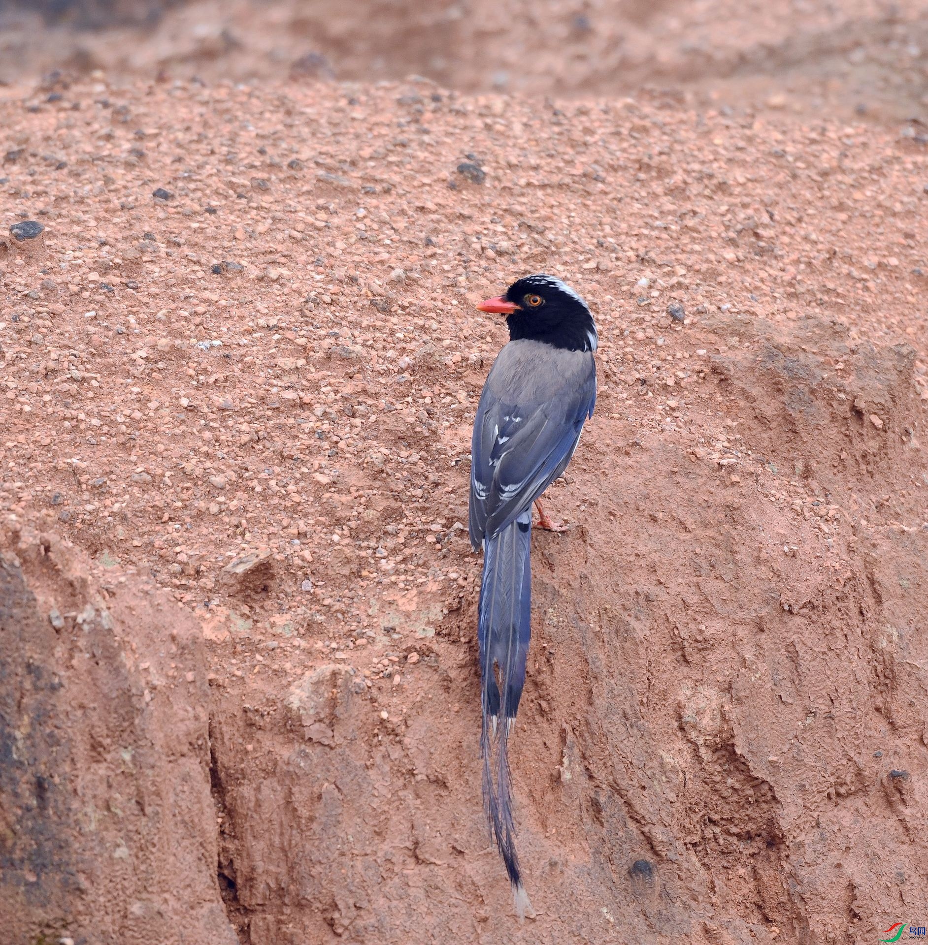 DSC_2105.jpg