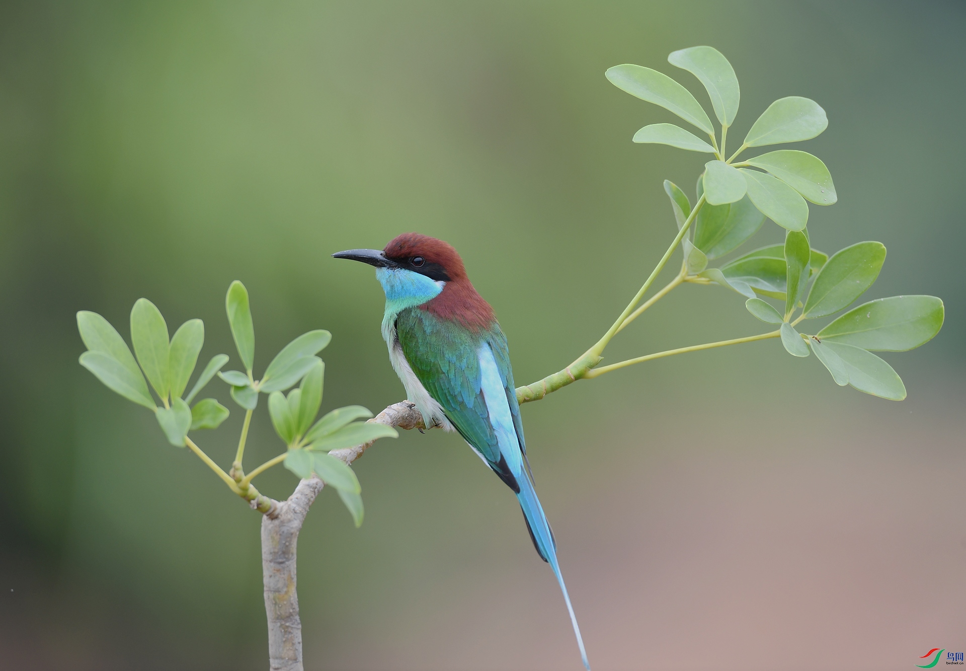 DSC_2880.jpg