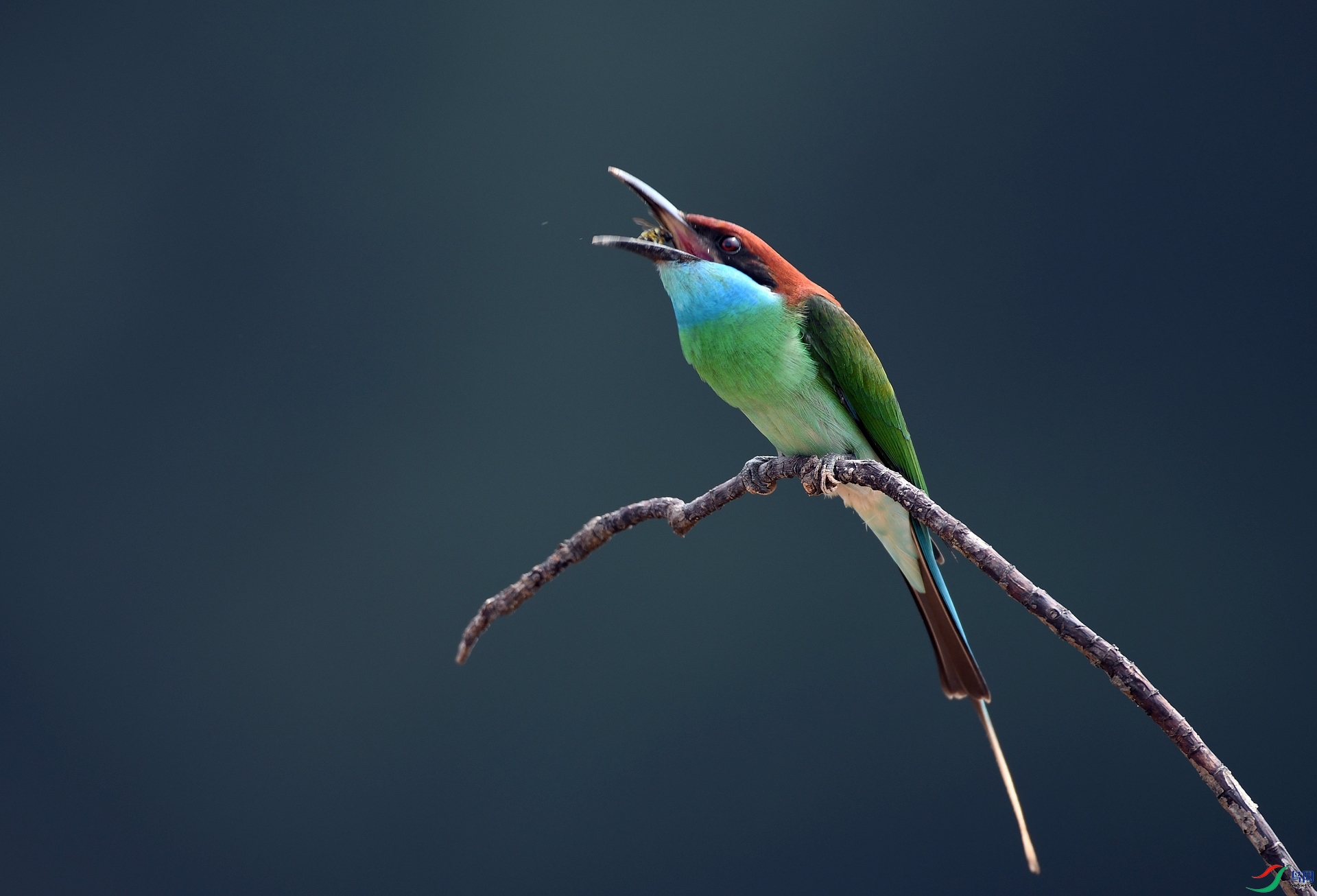 DSC_3903.jpg
