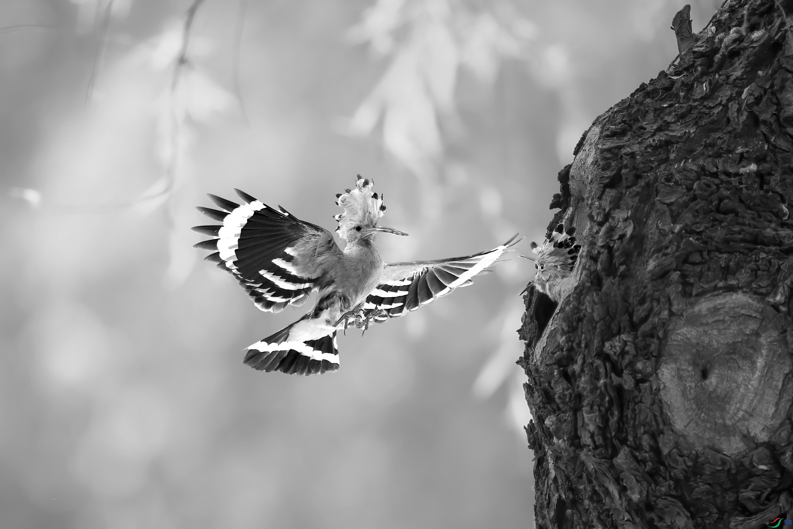 DX3W0254-55.jpg