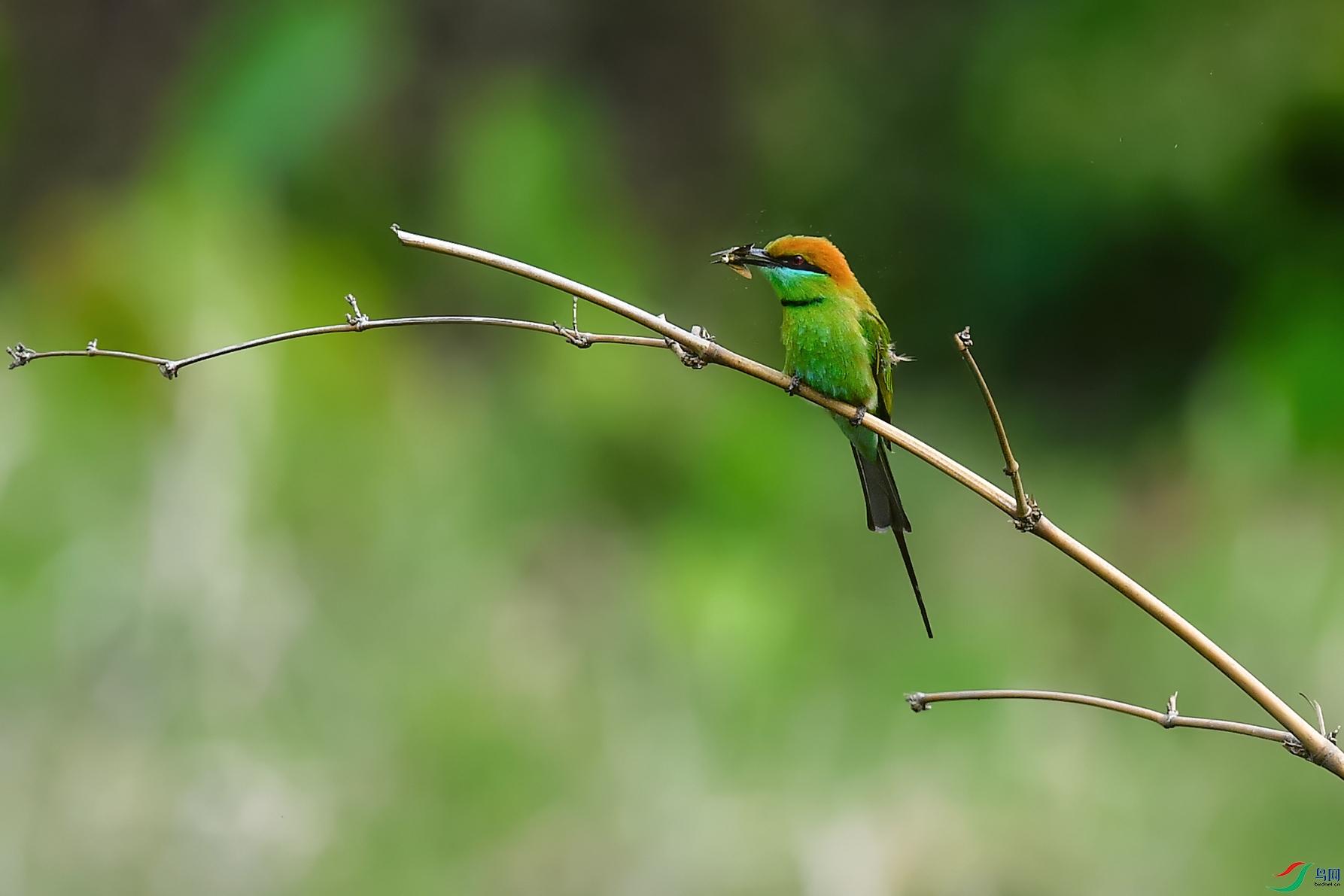 DSC_7324_DxOa.jpg