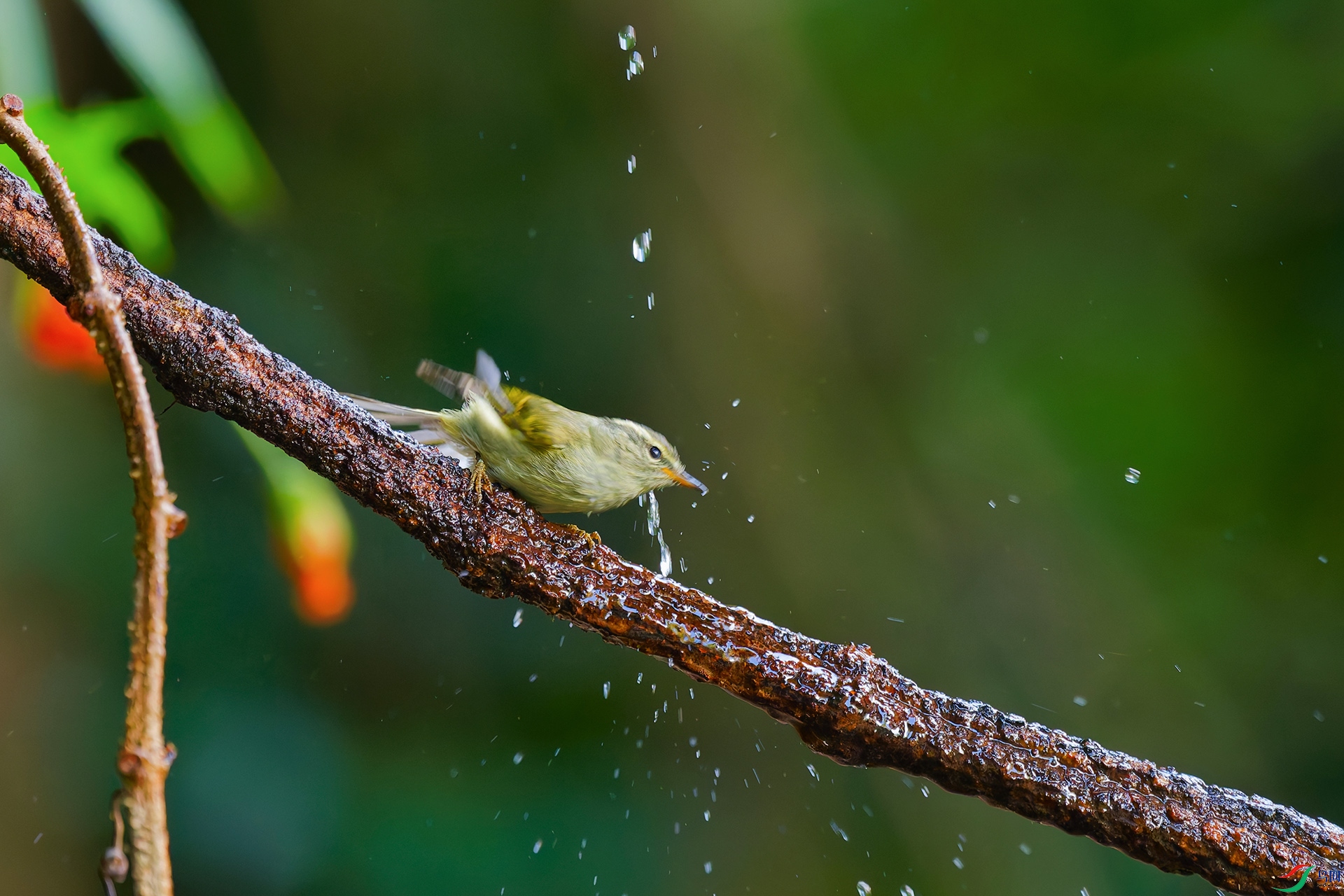 DSC_6751_DxO_DxOa.jpg